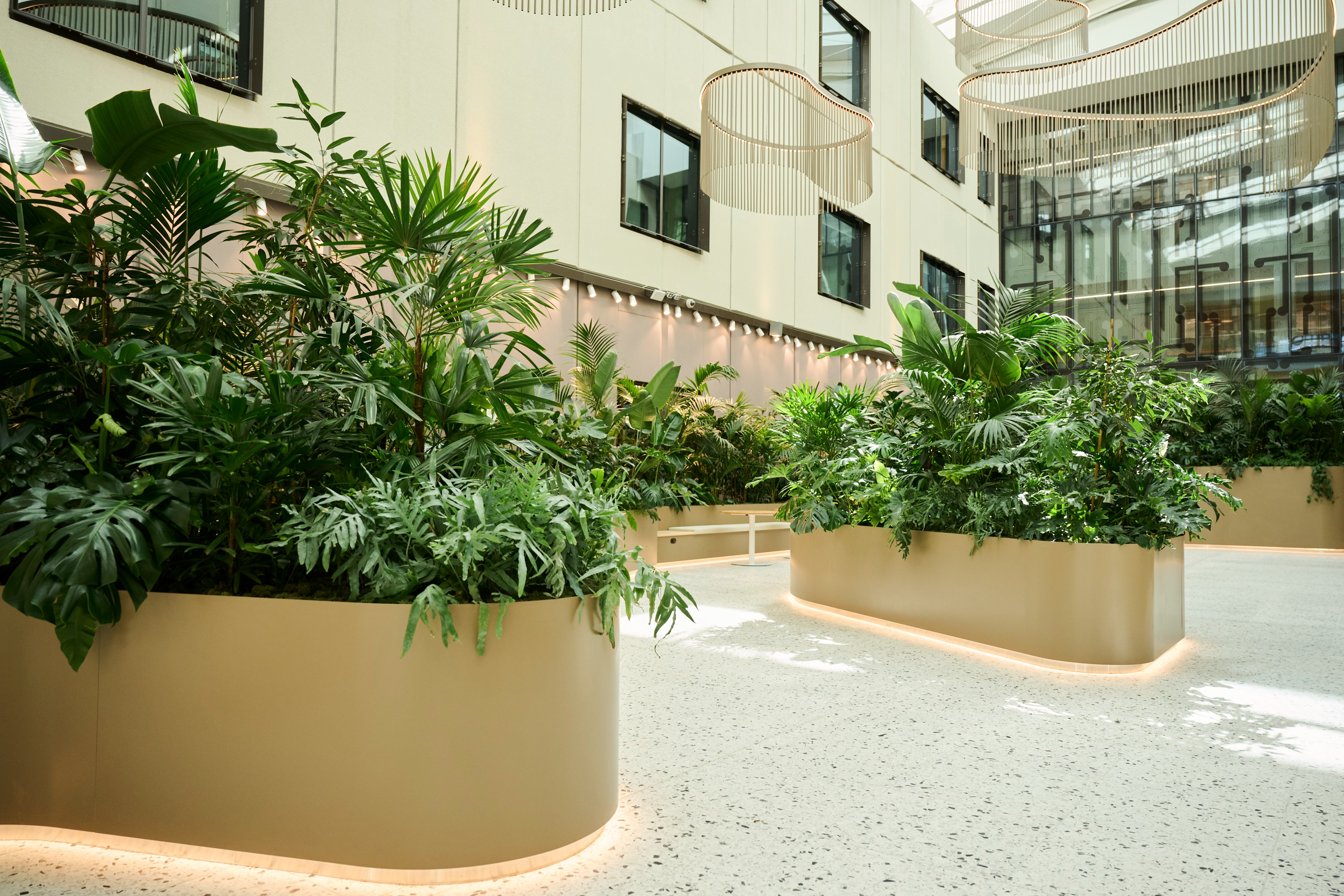 Large curved planters of fan palms, monstera, and tropical foliage line the Totara Haumaru garden beneath timber slat.