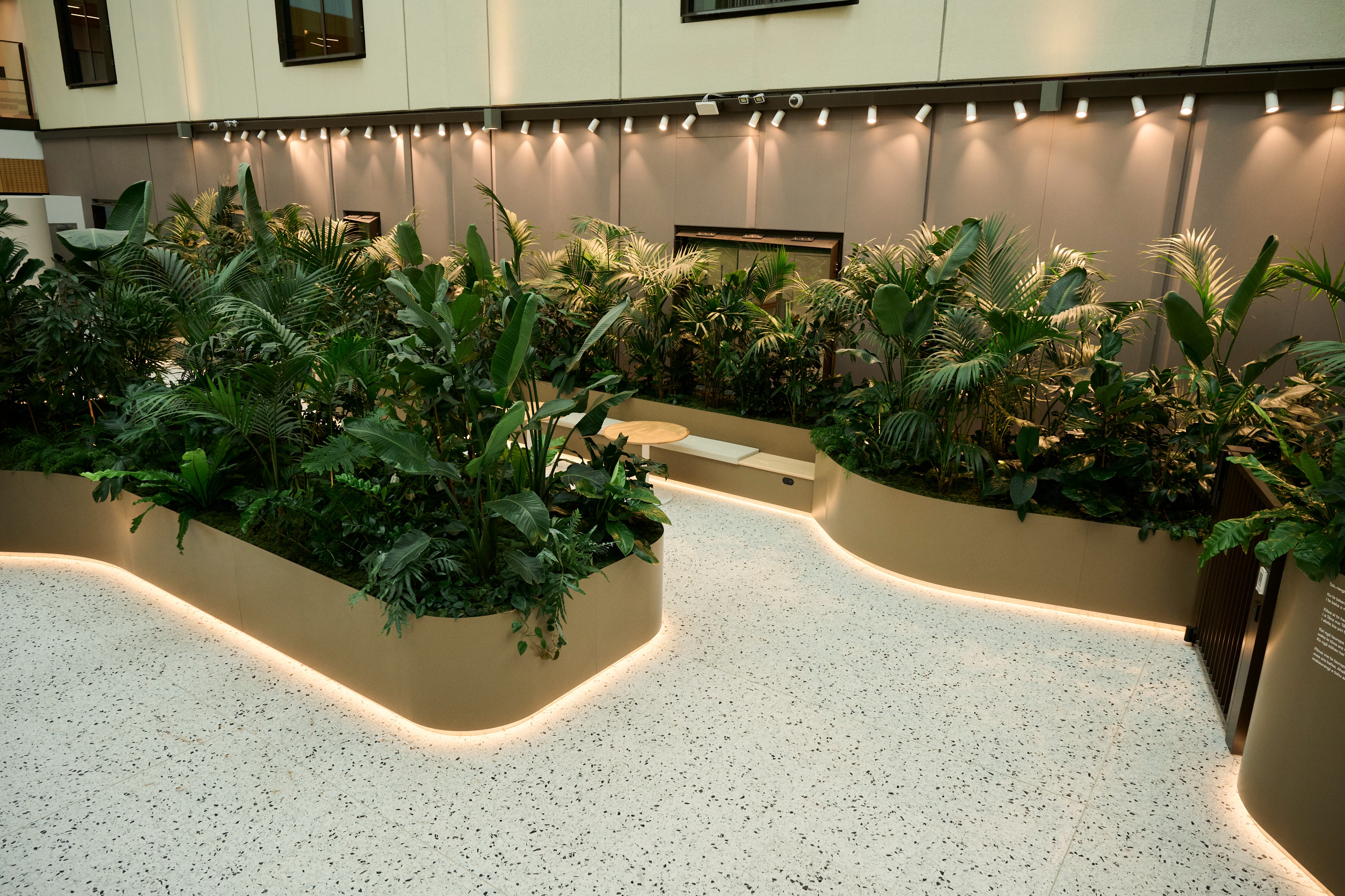 An overhead close-up of the Totara Haumaru planting shows a rich mix of spathiphyllum, fan palm, calathea, and rubber plant.
