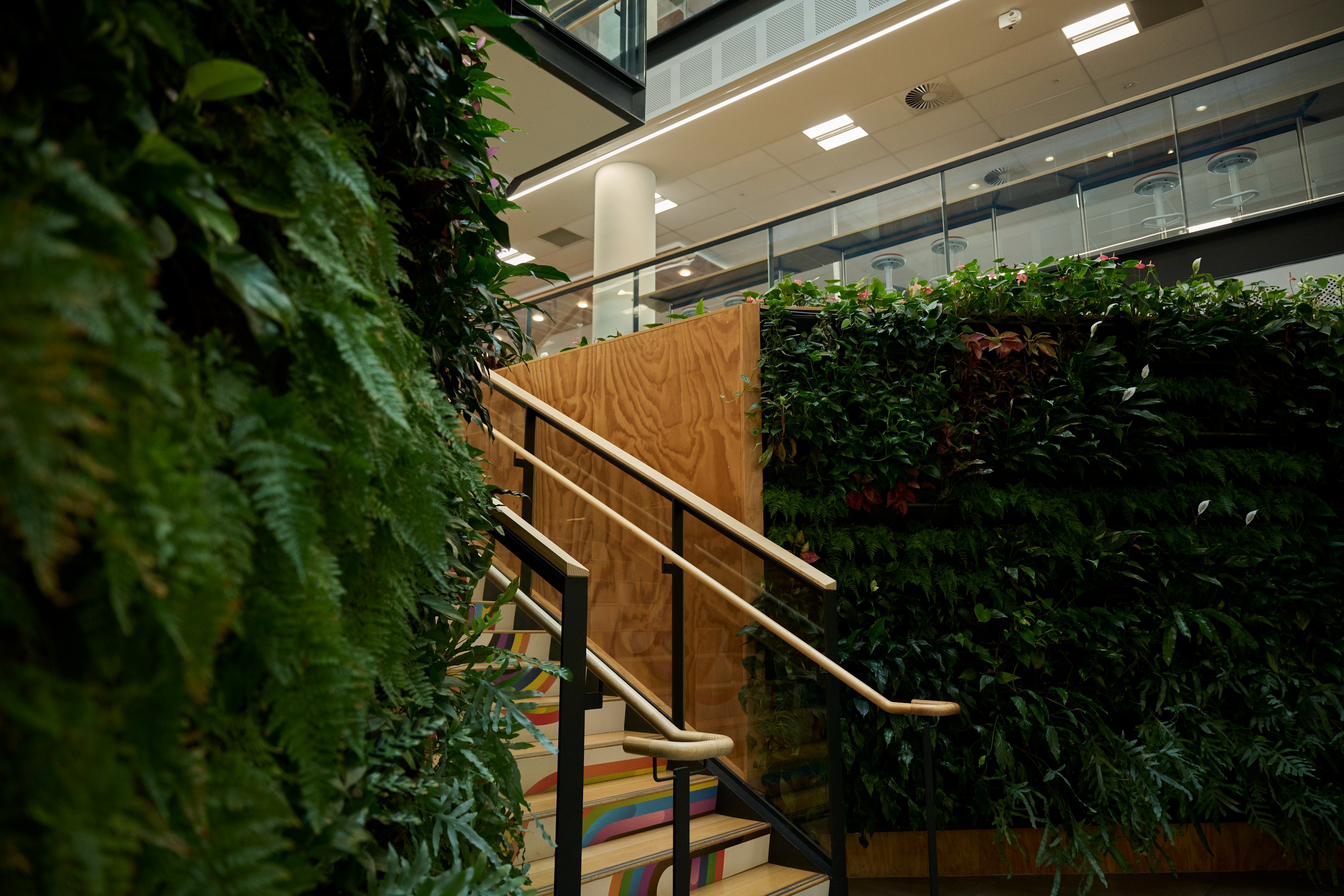 Ferns and flowering anthurium green wall bordering a staircase with rainbow-painted risers below.