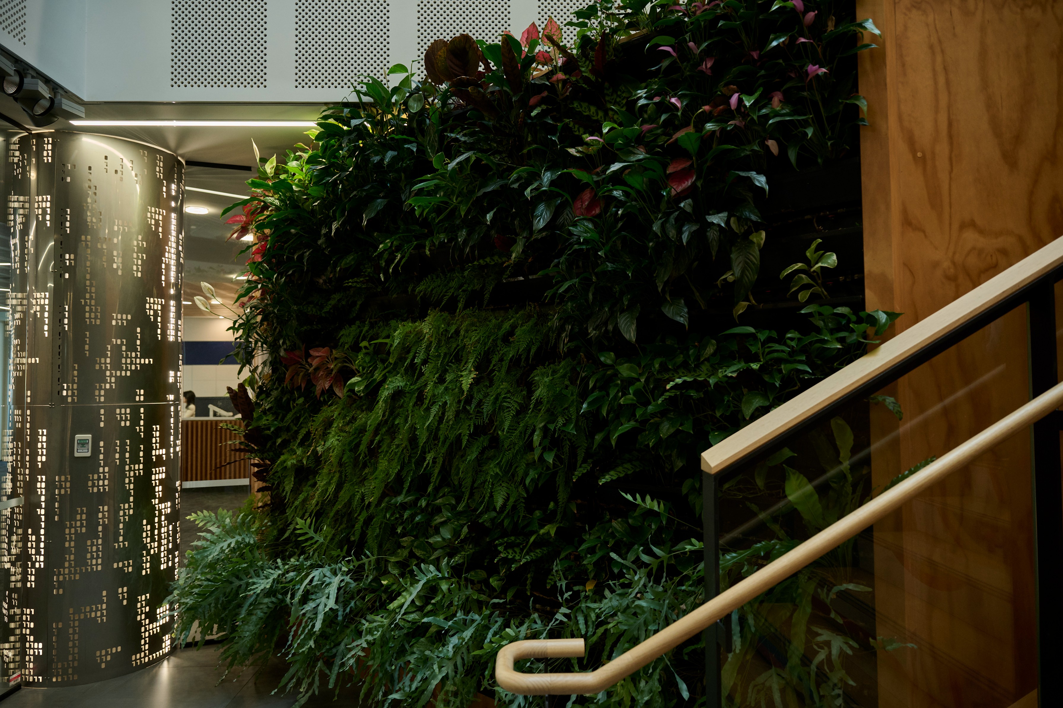 Dense green wall of ferns, anthurium and syngonium cascading beside a staircase and perforated lift column.