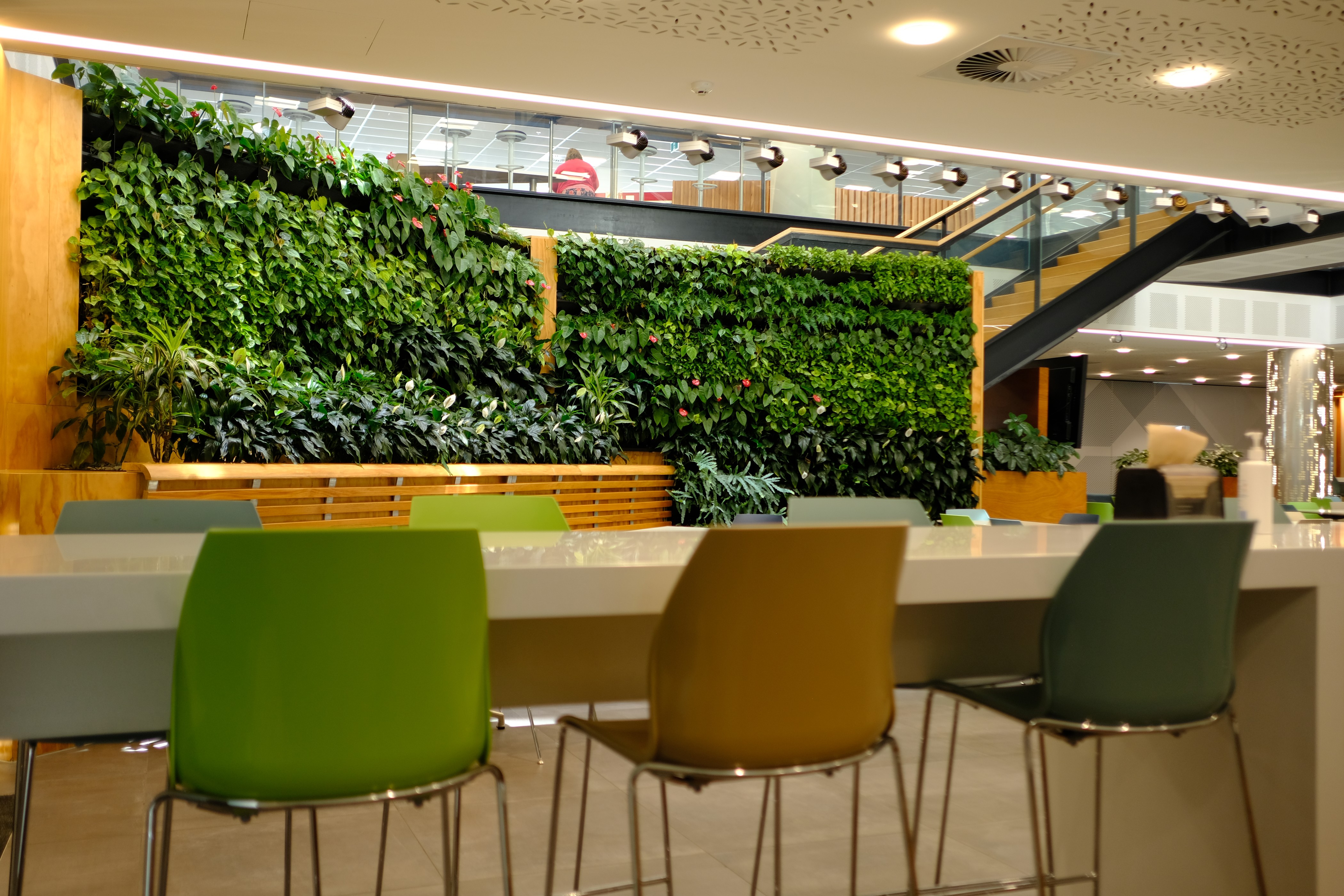 Anthurium green wall behind colourful bar stool seating in a double-height office breakout space.