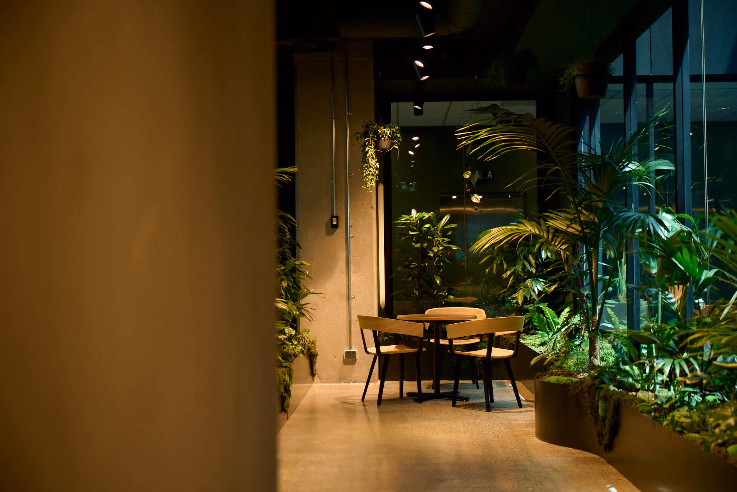 A small meeting table tucked into a pocket of kentia palms and hanging pothos at MC — a quiet nook within the jungle.