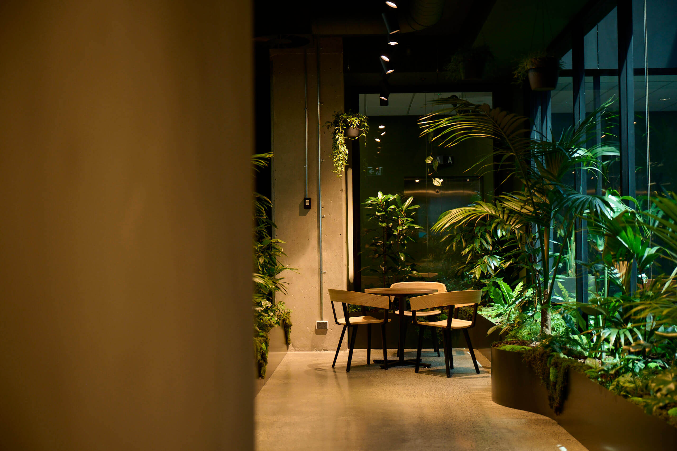A small meeting table tucked into a pocket of kentia palms and hanging pothos at MC — a quiet nook within the jungle.