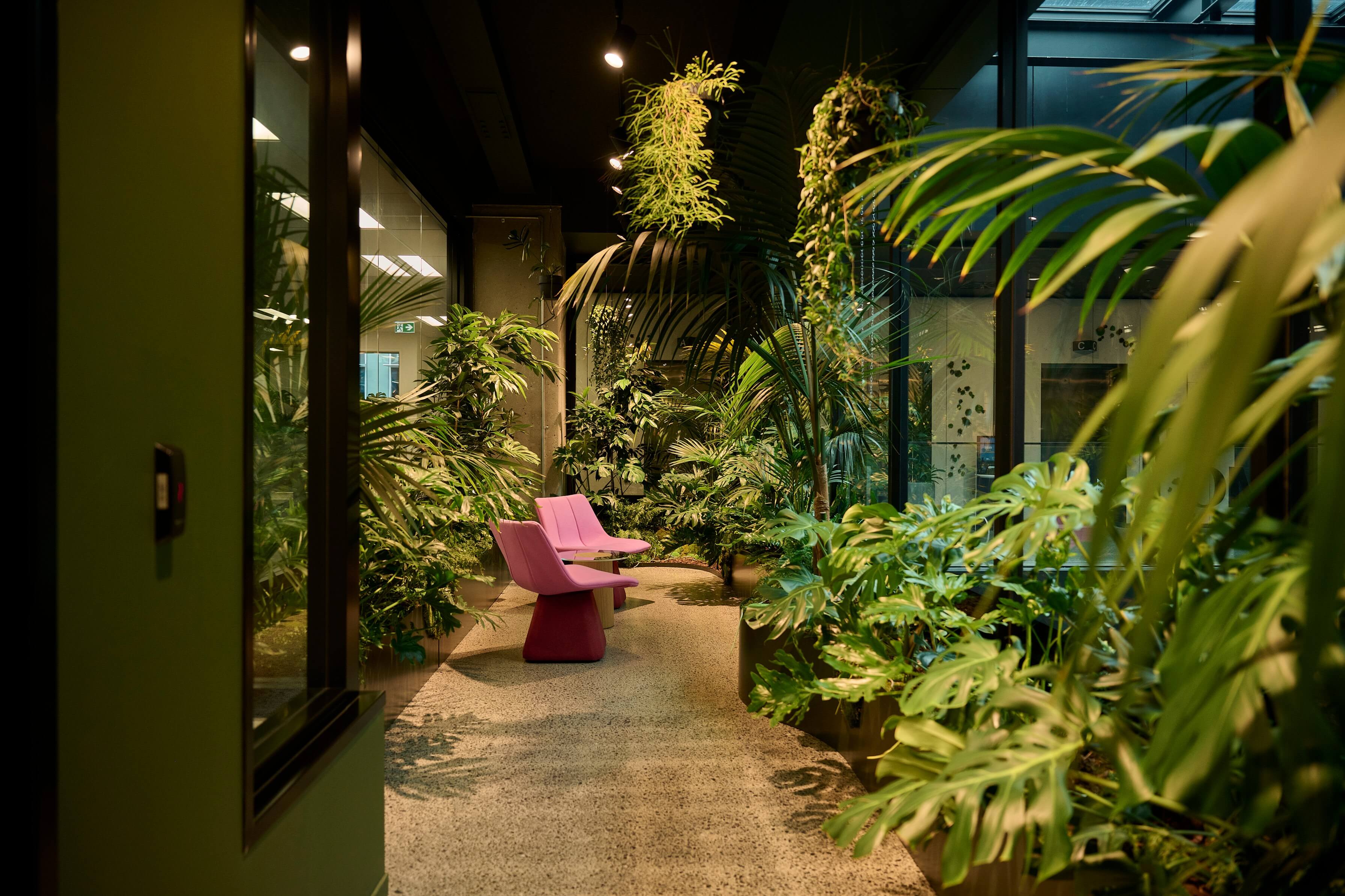A tropical corridor of kentia palms, monstera, and ferns leads to a magenta bench seat in the MC office.