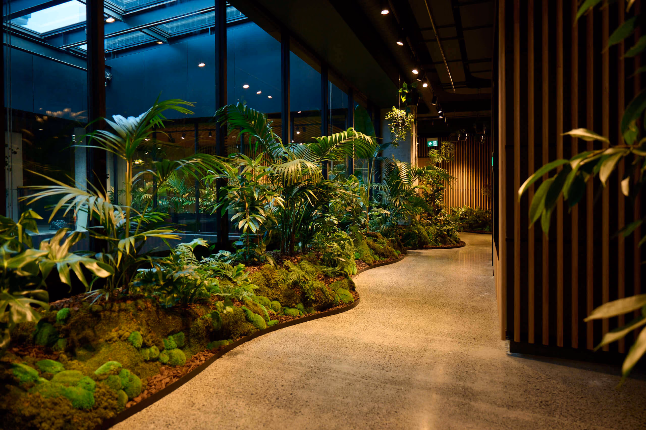 A winding garden of kentia palms, ferns, and moss runs the length of the window wall at MC — greenery at every turn.