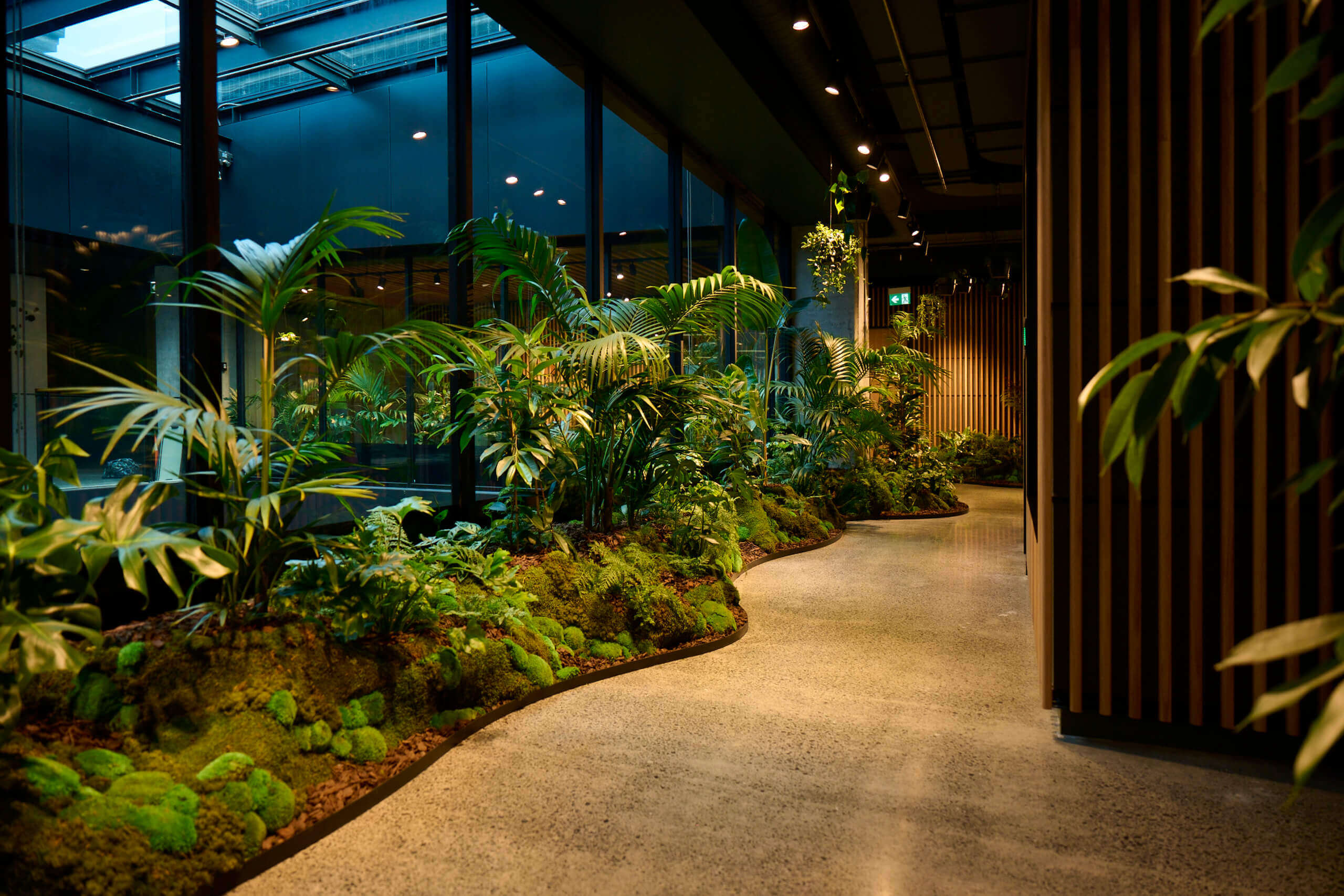 A winding garden of kentia palms, ferns, and moss runs the length of the window wall at MC — greenery at every turn.