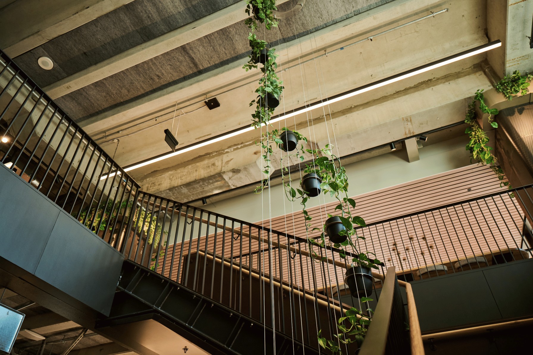 Suspended trailing pothos in black pots hanging through a multi-level stairwell with steel balustrades.