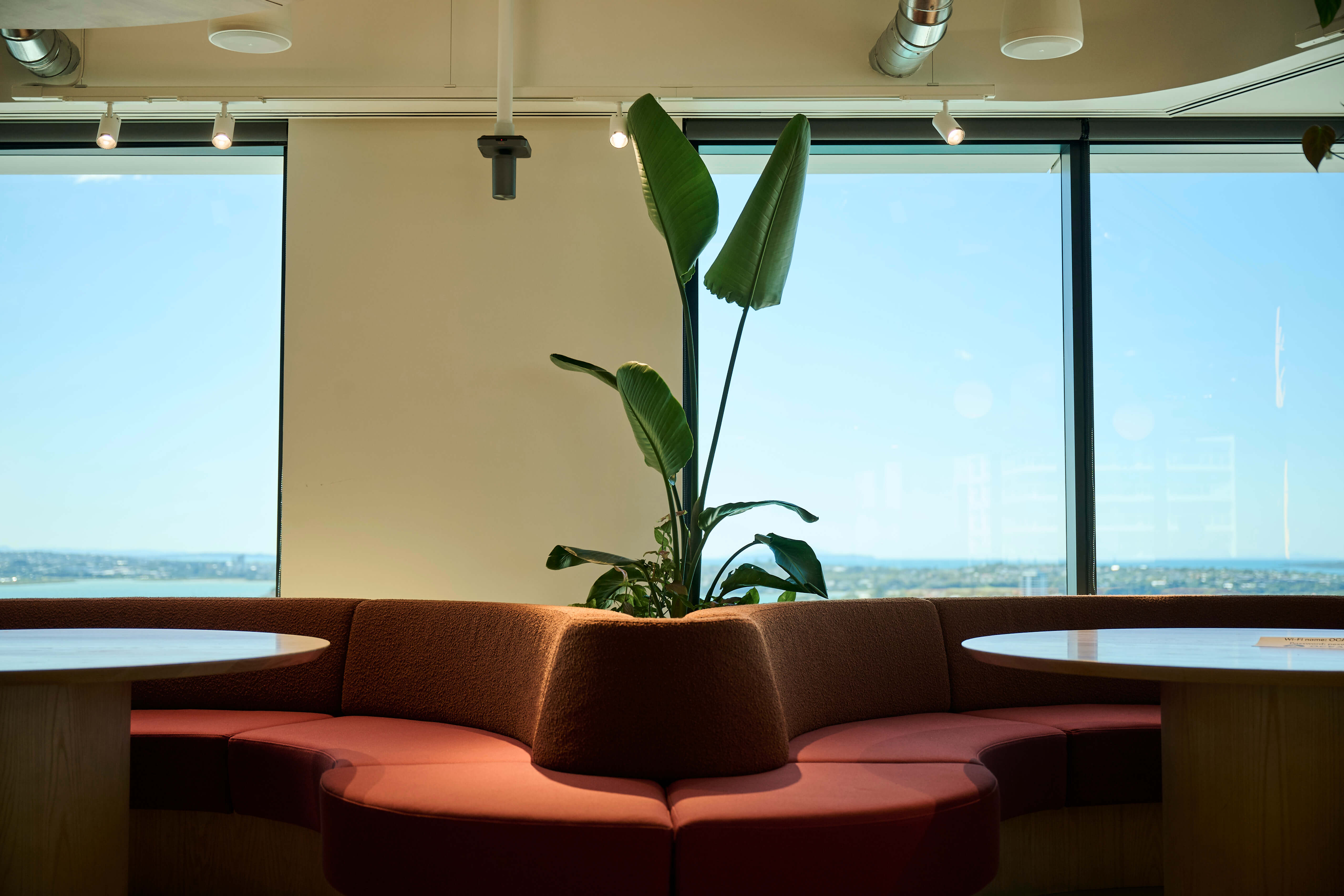 A bird of paradise grows from the centre of Oceania's curved terracotta booth seating, framed by panoramic harbour views.