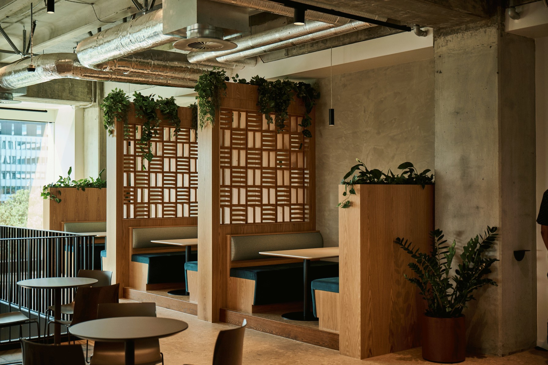 Trailing pothos atop timber lattice booth dividers with a Zamioculcas planter beside the concrete column.