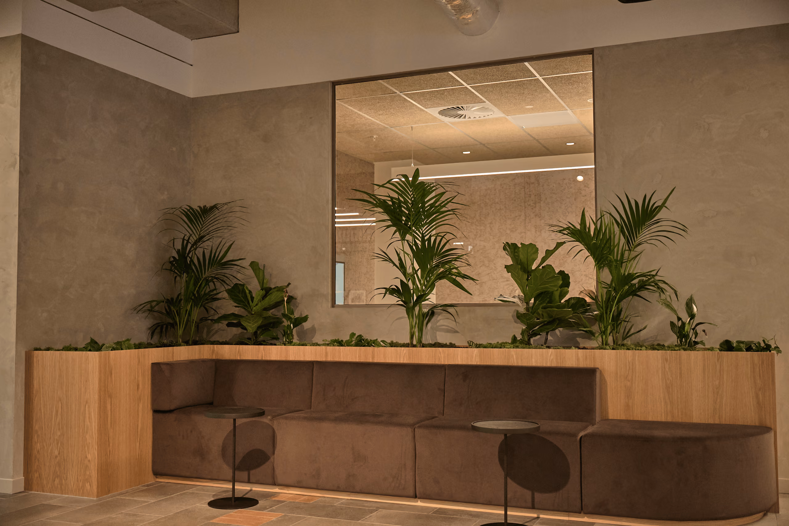 Kentia palms, fiddle leaf figs and peace lilies in a built-in planter above a curved velvet banquette.