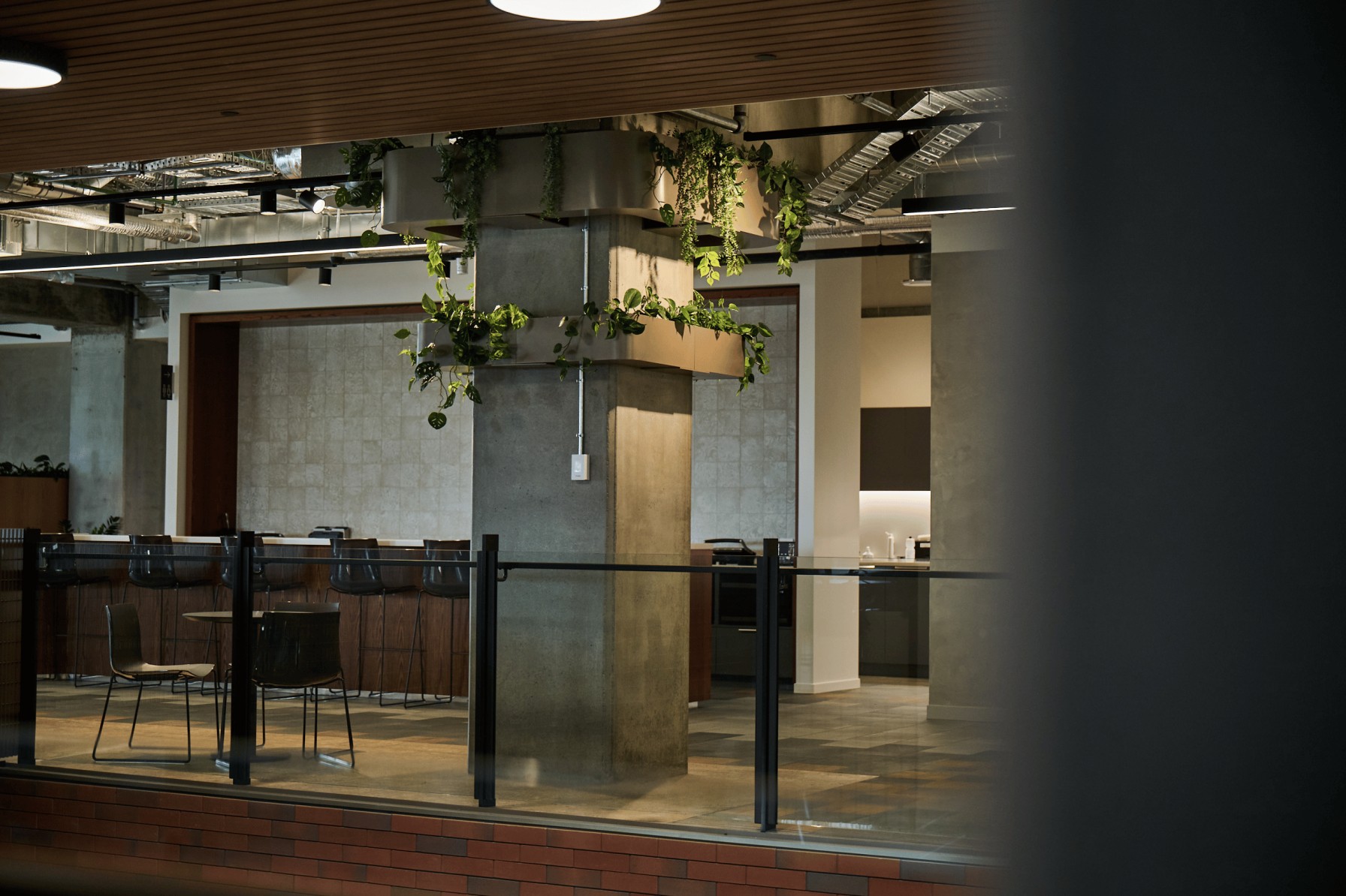 Trailing pothos and Scindapsus in a metal planter wrapped around a concrete column above a kitchen bar.