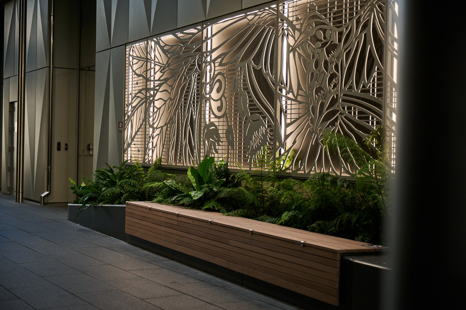Layered fern planting along a timber bench beneath an illuminated bird artwork panel on the building facade.