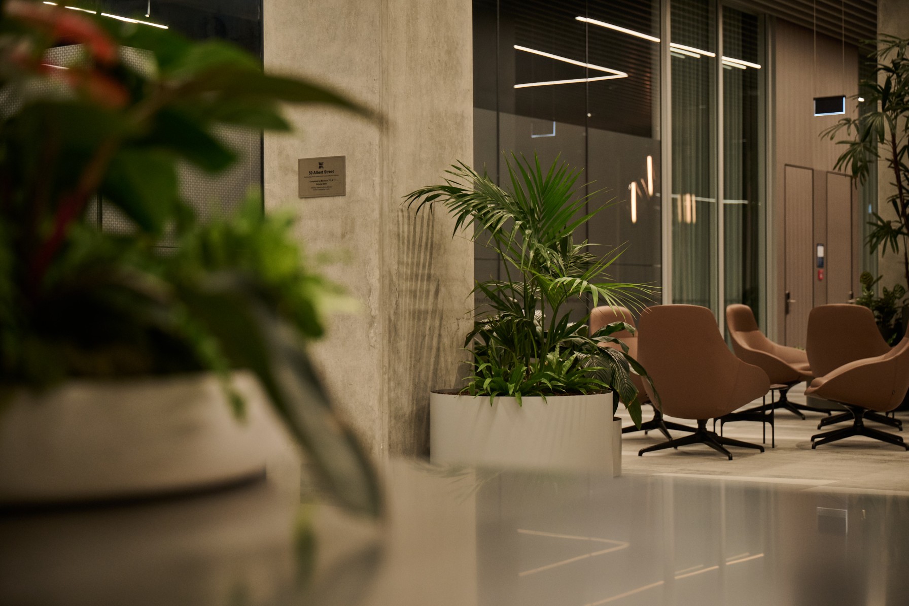 Kentia palm in a white planter beside terracotta lounge chairs at the 50 Albert Street lobby.
