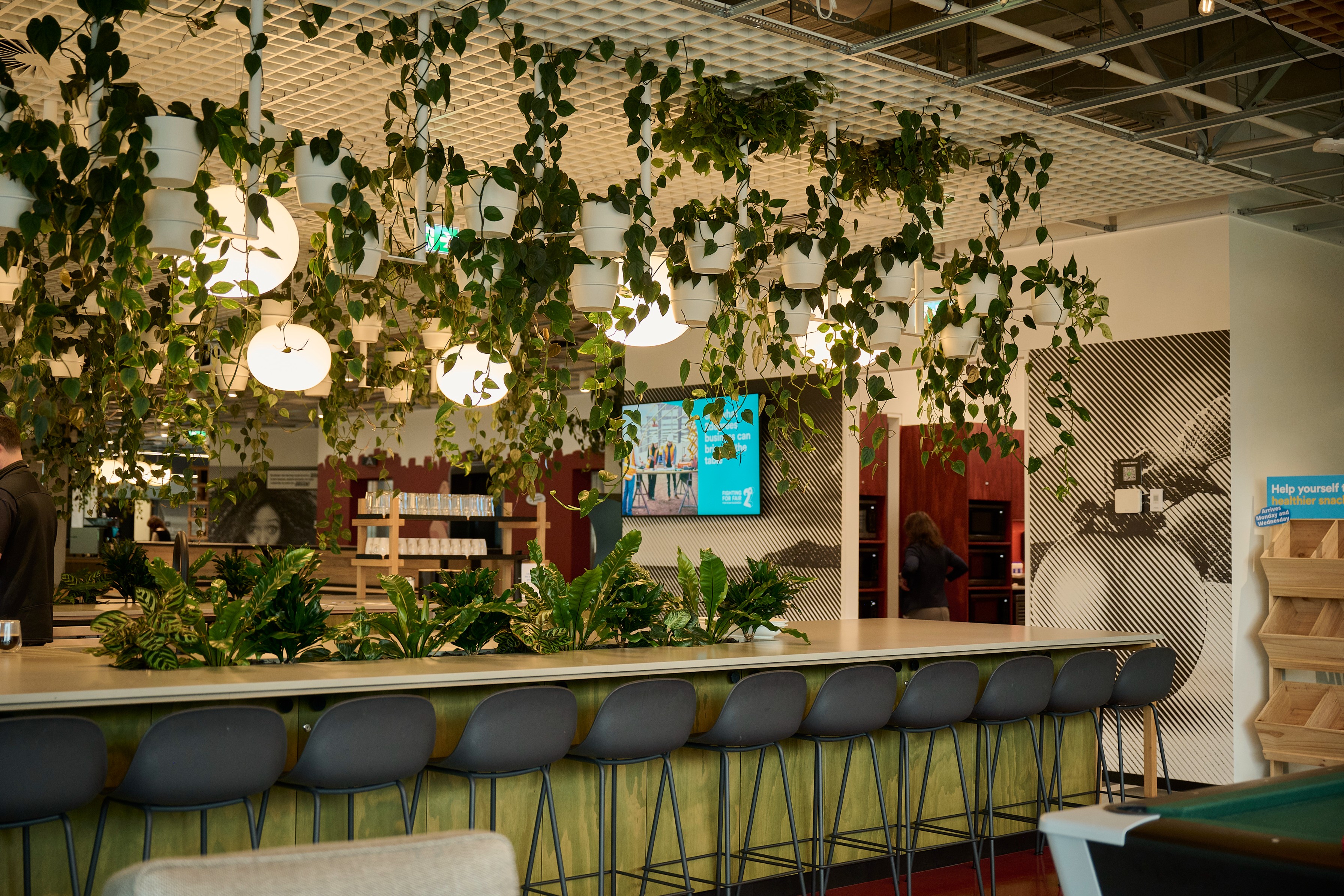Dense hanging pothos canopy above a green kitchen bar with in-bench planters and grey bar stools.