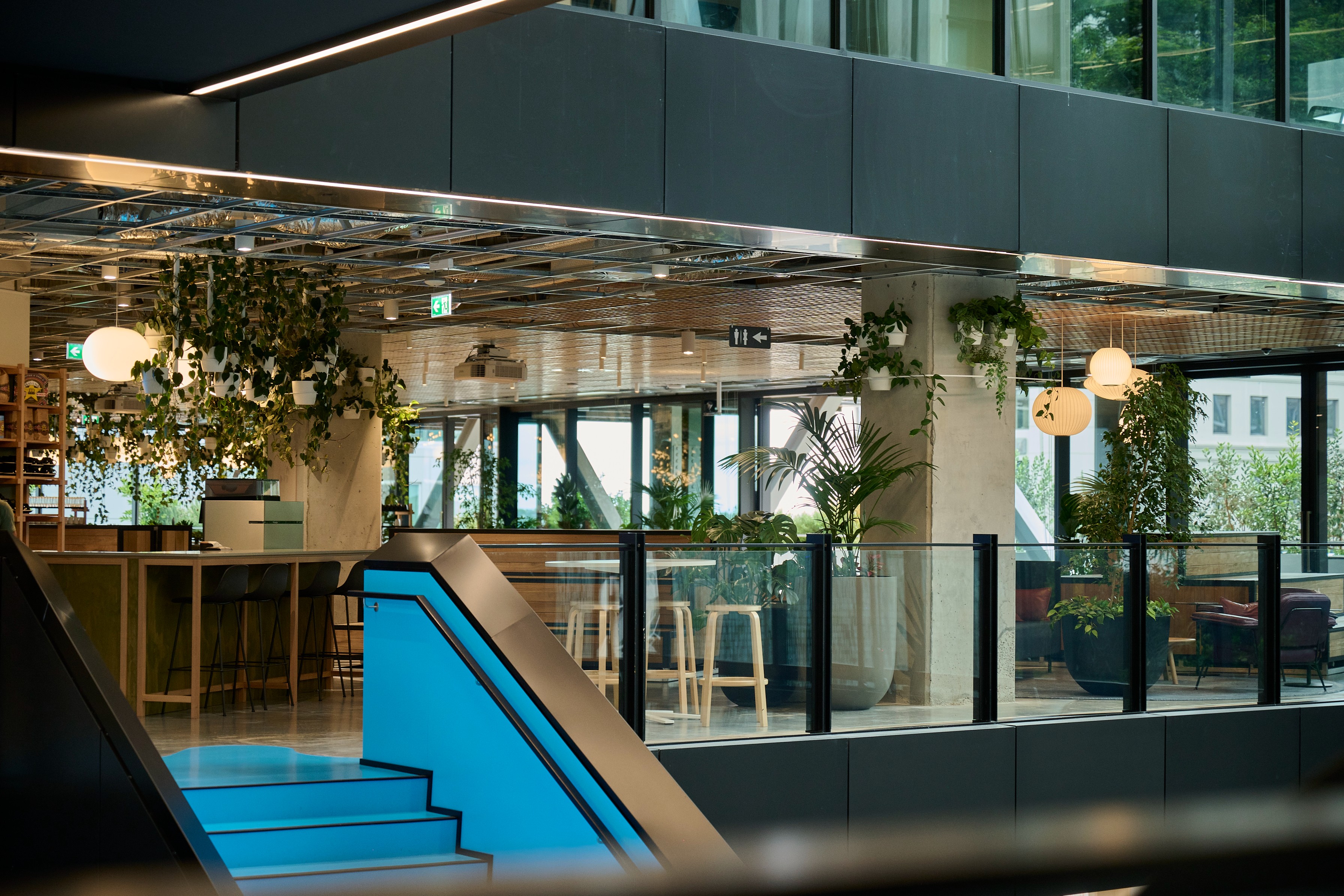 Hanging pothos planters above a bar and lounge area beside a bright blue staircase.
