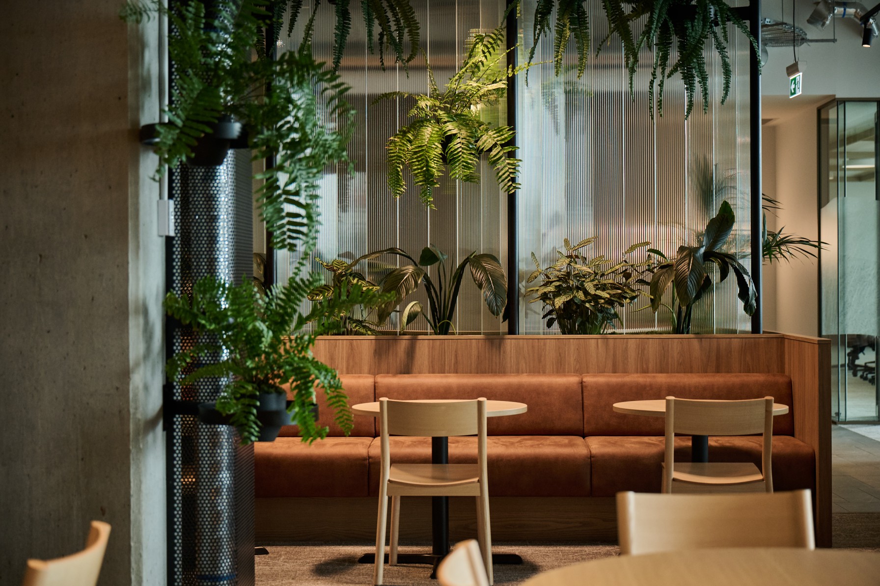 Hanging fern planters above a leather banquette and cafe tables against a fluted glass partition.