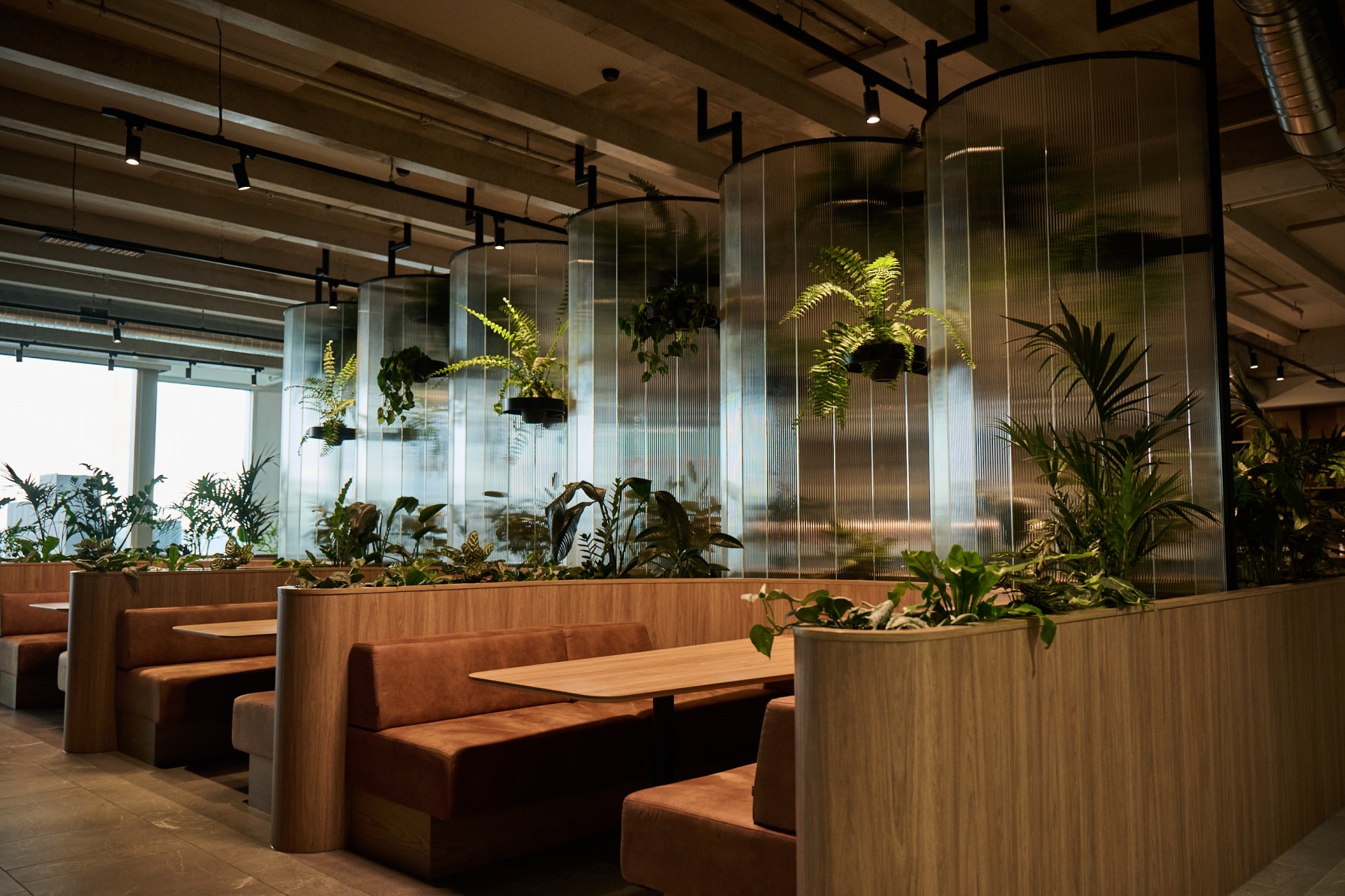 Ferns and layered foliage planted along curved timber booth partitions with hanging fern pots between fluted glass columns.