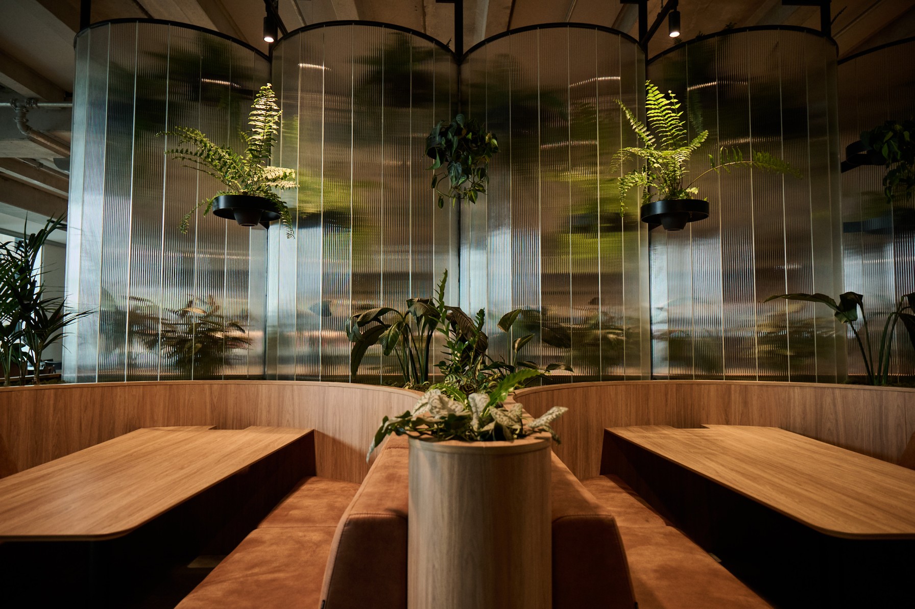 Circular booth with a central planter and hanging fern pots enclosed by fluted glass screens.