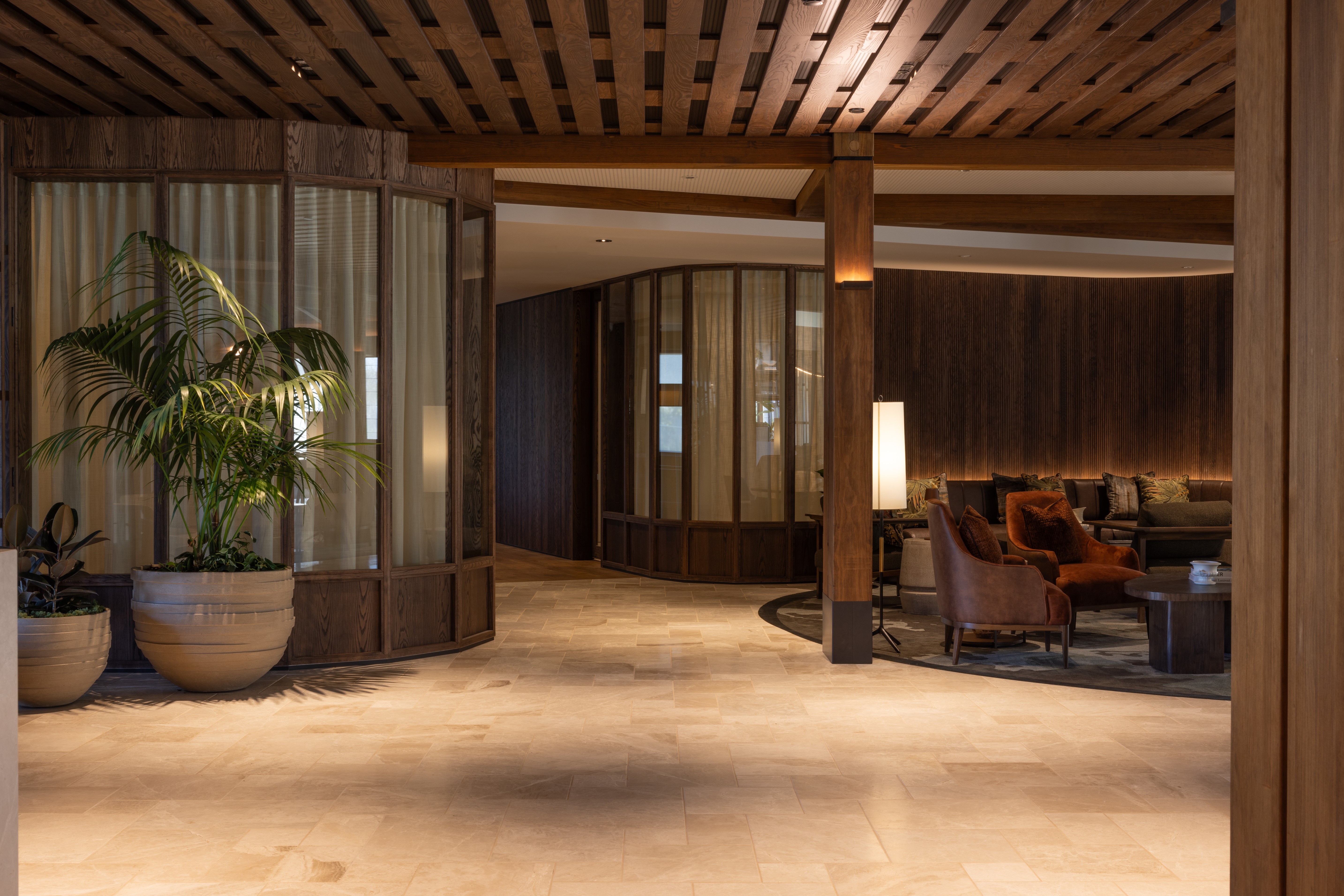 Kentia palm and rubber plant in large stone planters beside a timber-lattice screen leading into a lounge area.