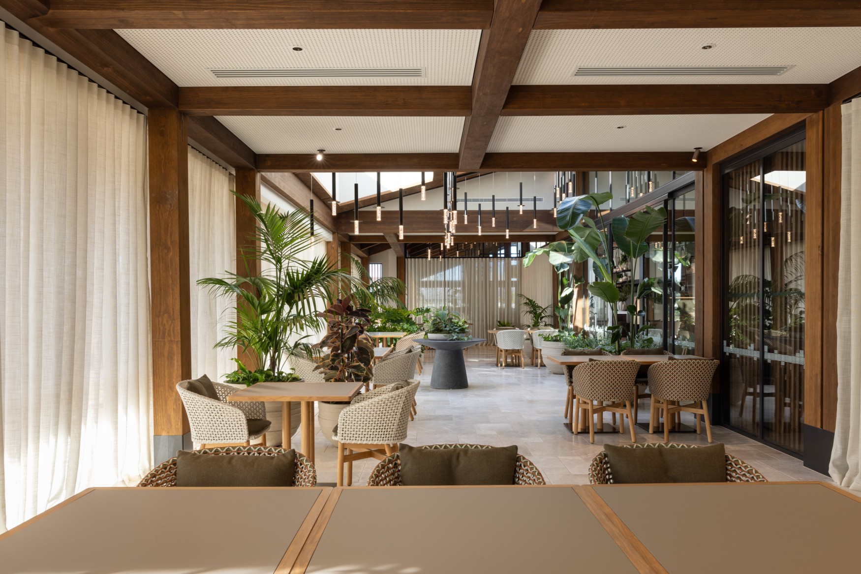 Kentia palms and Strelizia in planters throughout an open dining pavilion beneath timber beams and hanging pendant lights.
