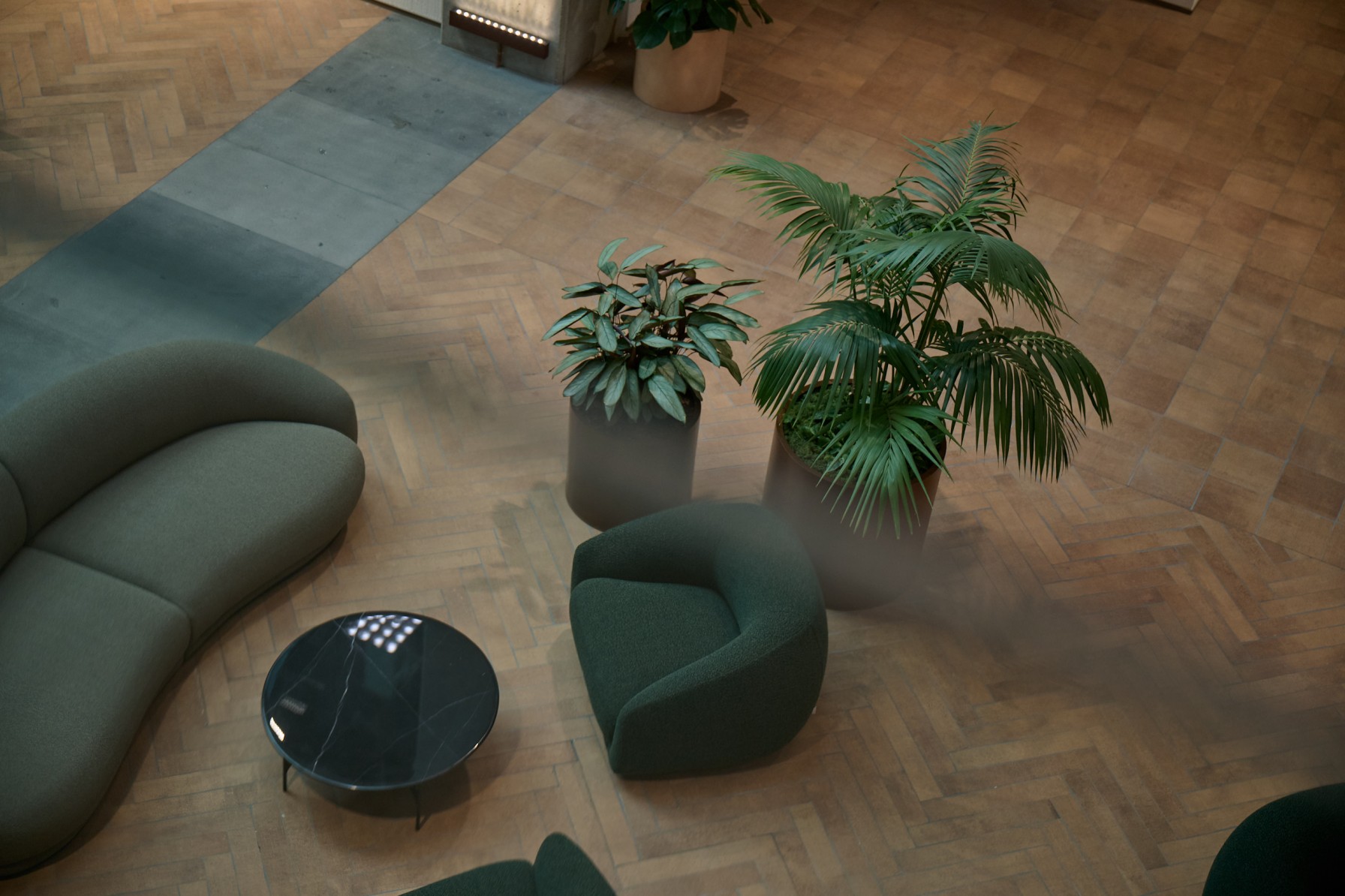 Monstera in square planters lining the locker corridor at 30 Daldy — greenery in the building's end-of-trip facilities.