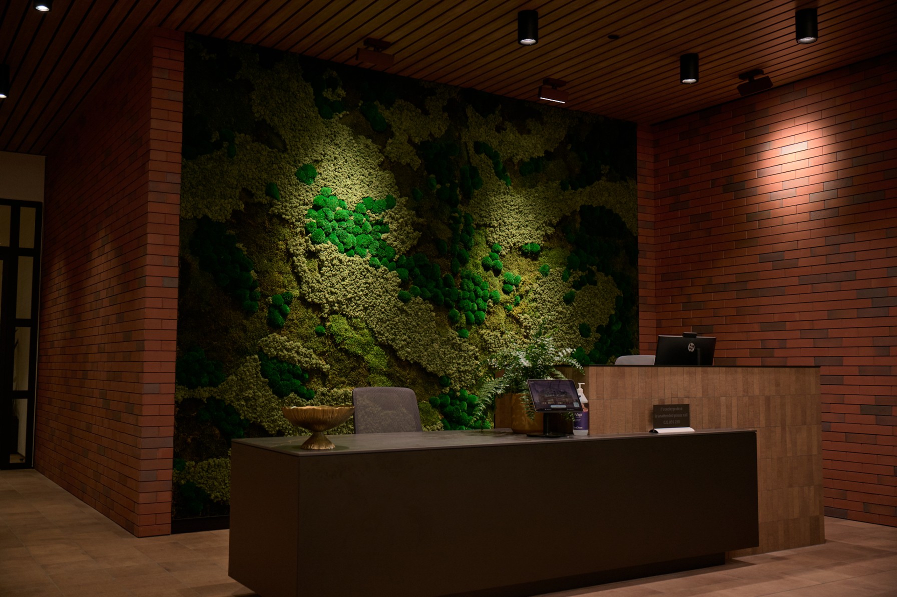 Illuminated moss wall behind the reception desk at 30 Daldy, Auckland — textured greens against warm timber and red brick.