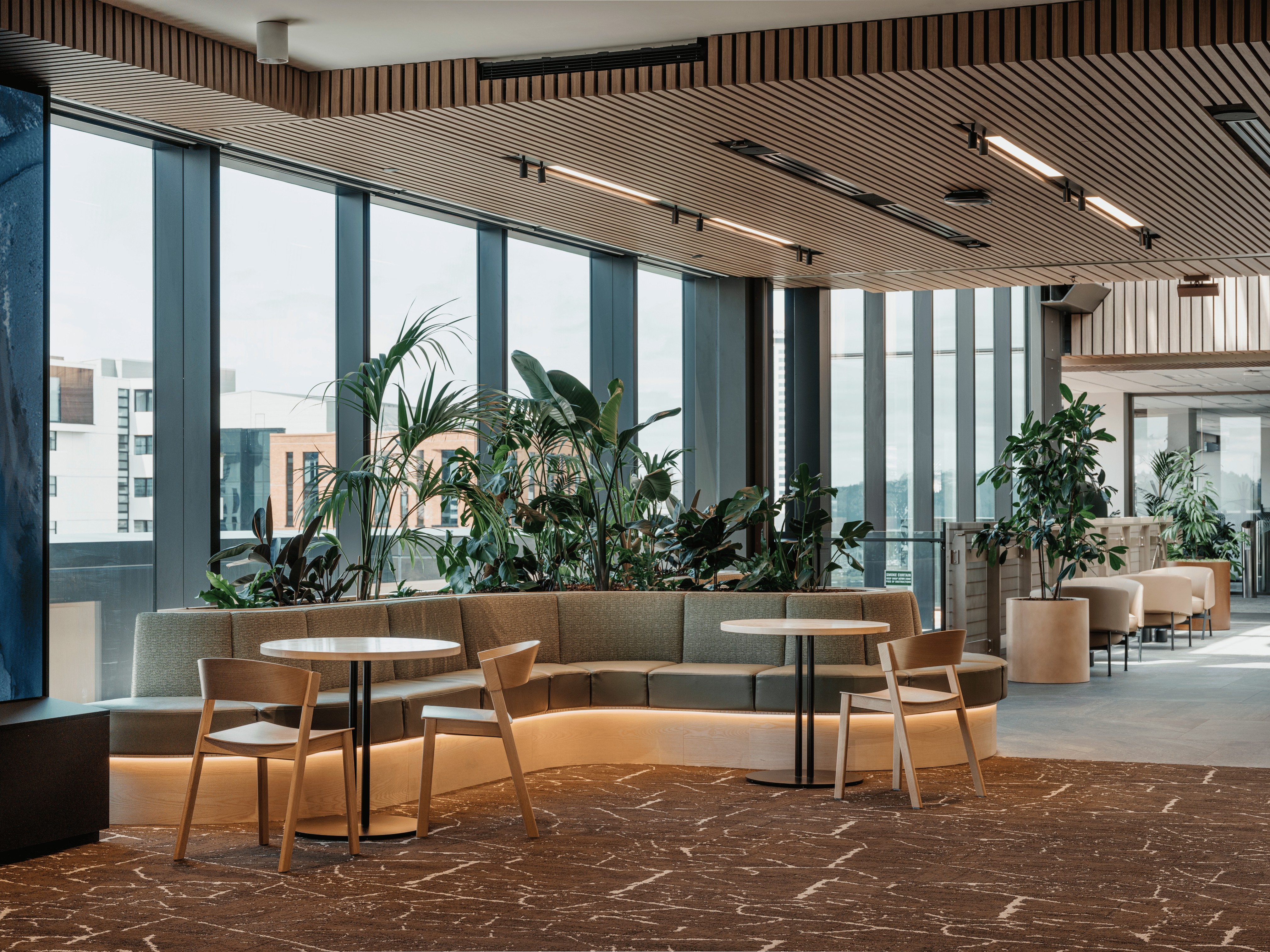 Organic curving LED light installation across a ceiling above café tables, with timber and concrete columns and a forest view through the window.
