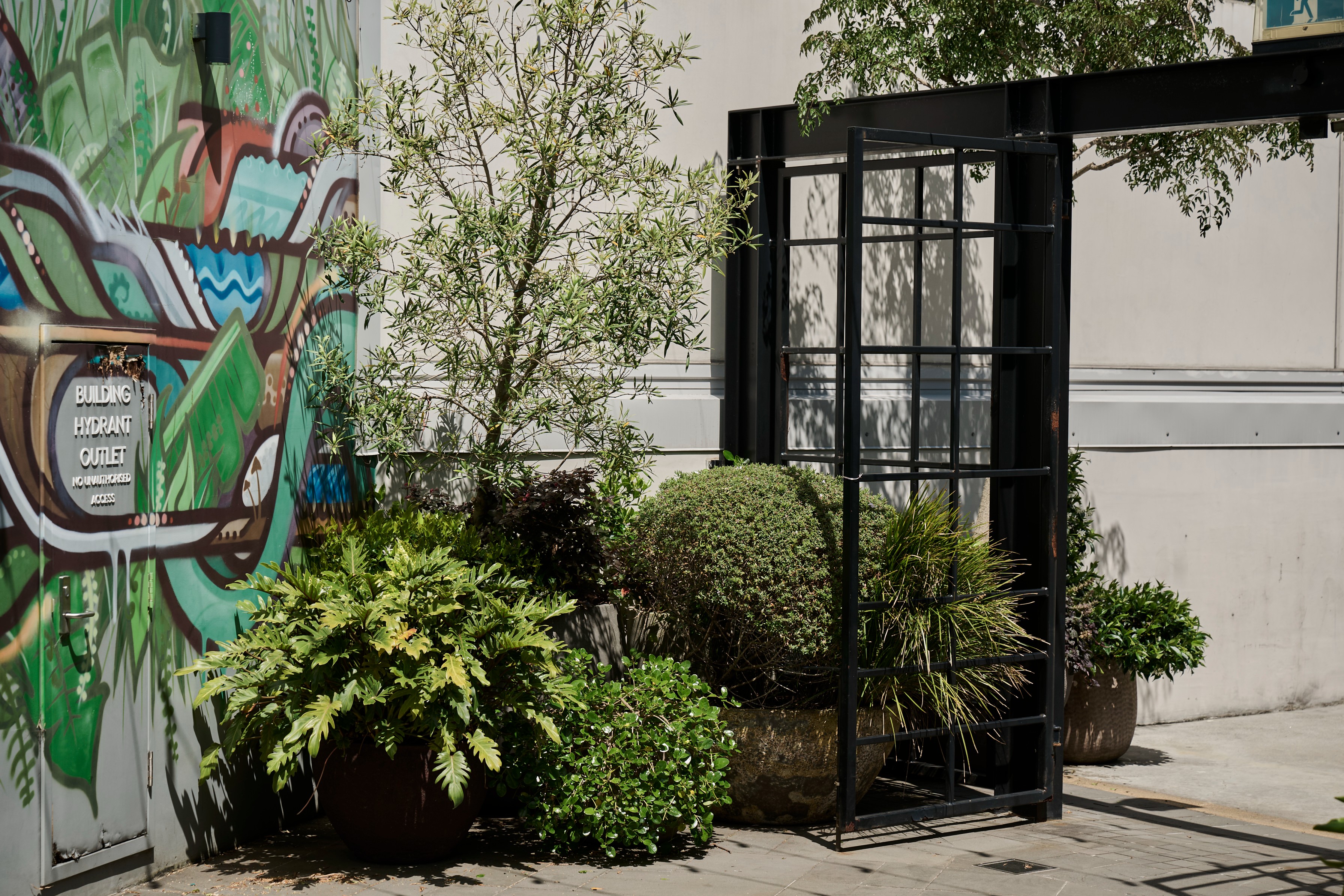 Planted ferns, hedging, and small trees soften the laneway entry at Westfield Newmarket beside a graffiti wall.