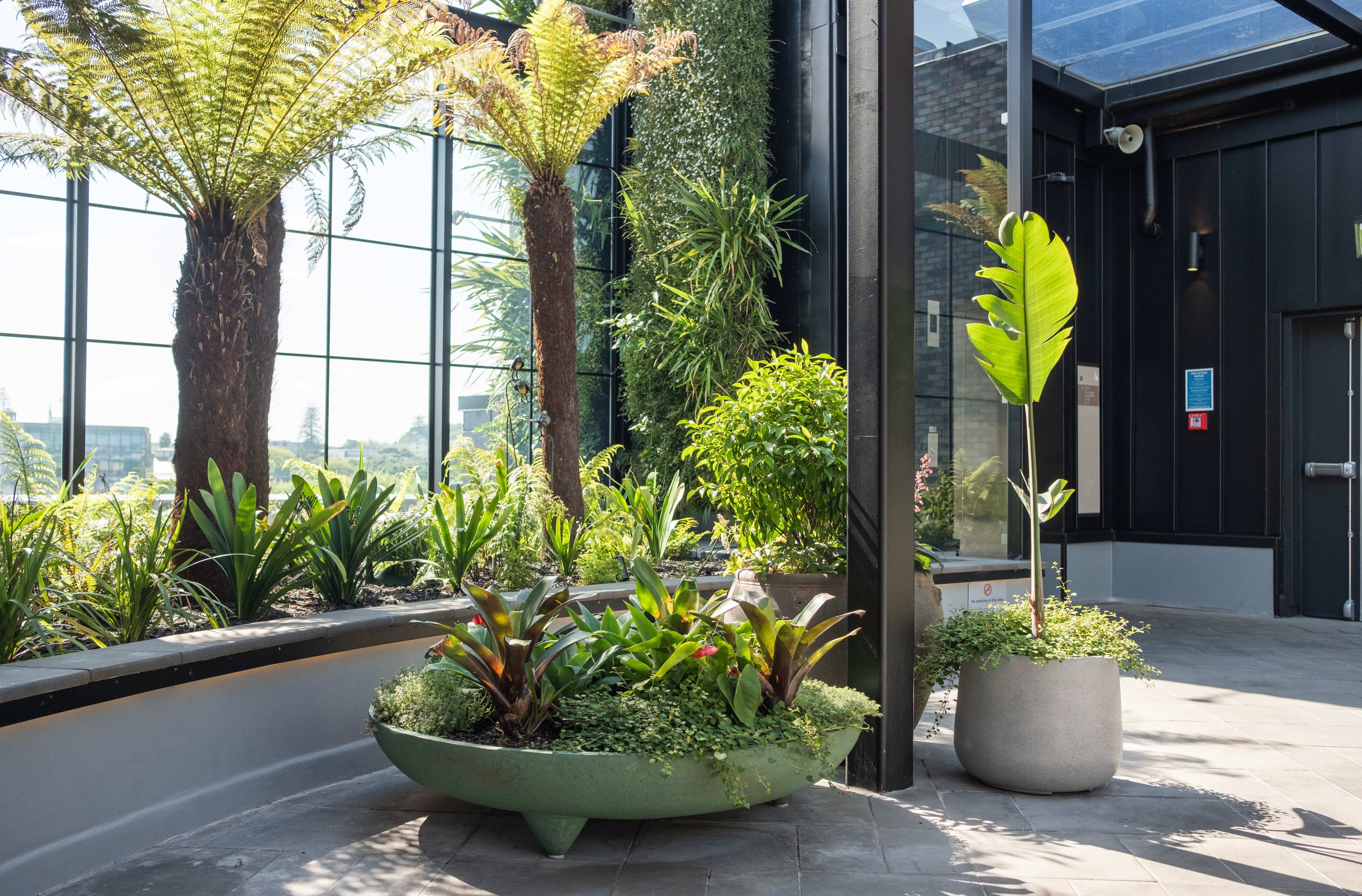 A footed bowl planter of bromeliads and mixed tropicals sits on the Westfield Newmarket terrace, with tree ferns beyond.