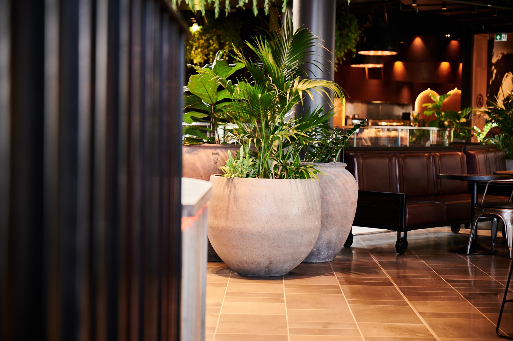 Kentia palm and split-leaf philodendron in large concrete pots beside a leather booth in a food court diner.