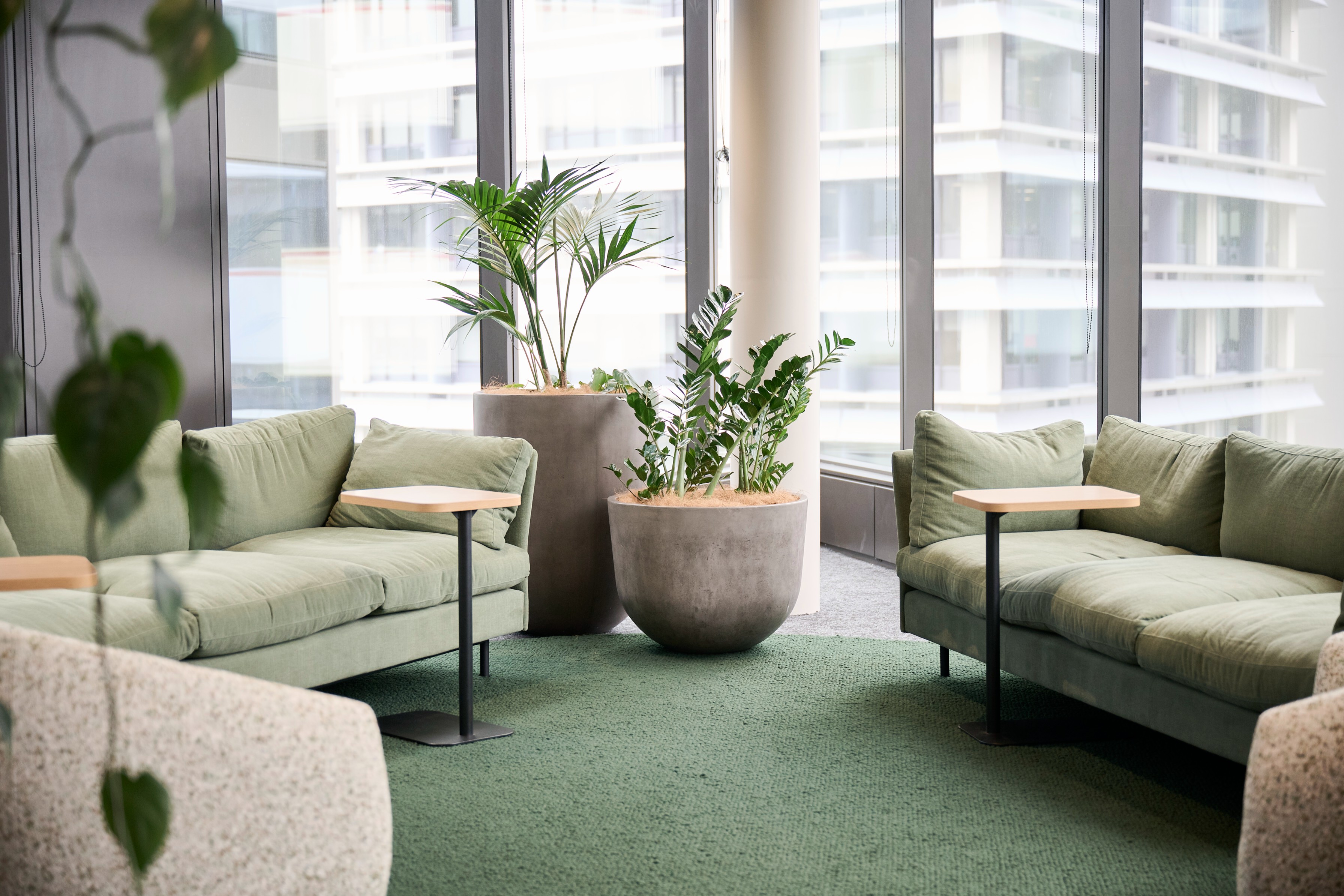 Two concrete cylindrical planters with kentia palm and ZZ plant anchor a lounge of sage green sofas at Simpson Grierson.