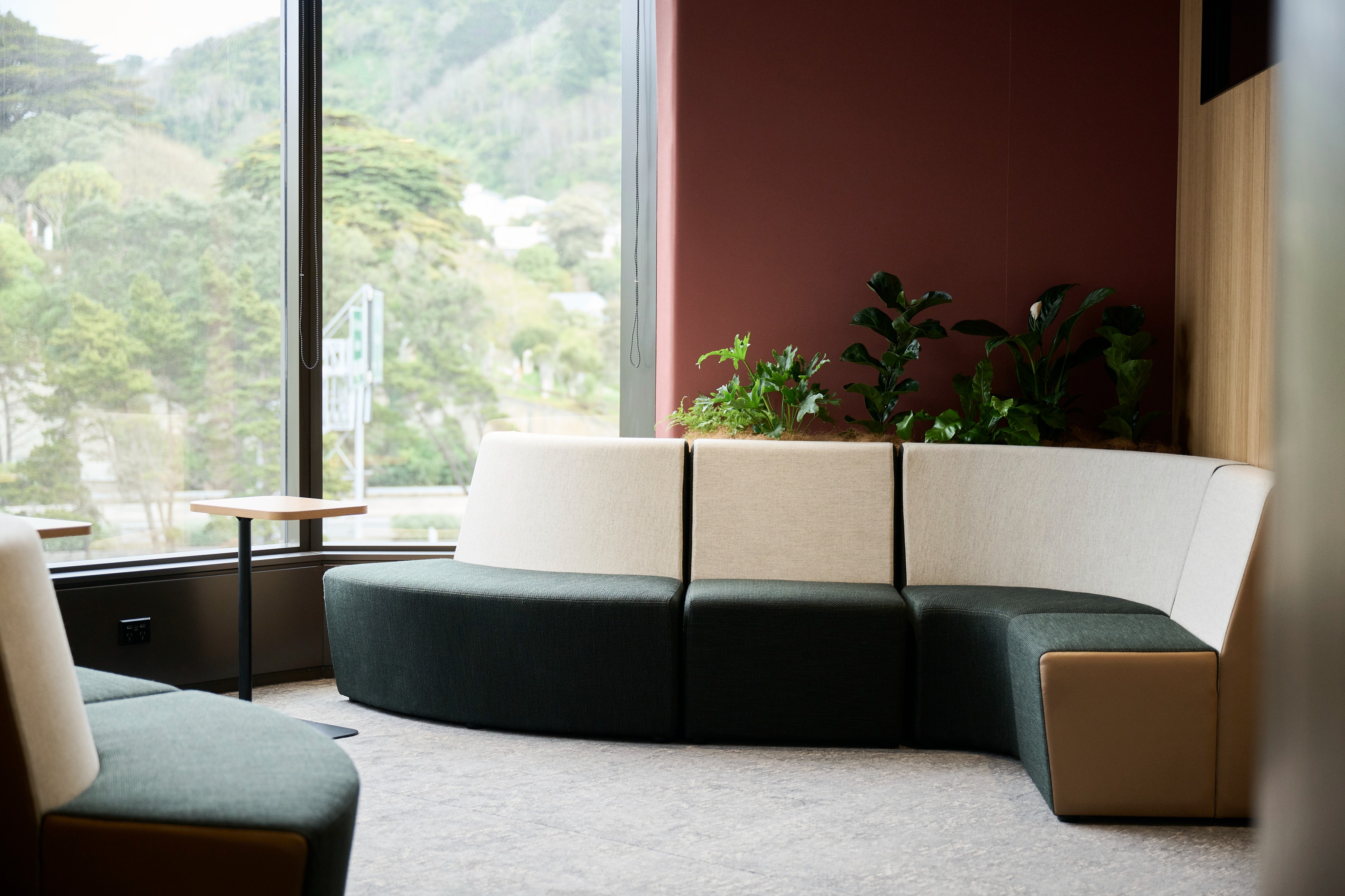 A curved booth at Simpson Grierson wraps an integrated fiddle leaf planter, framed by a wine-red wall and green hillside.