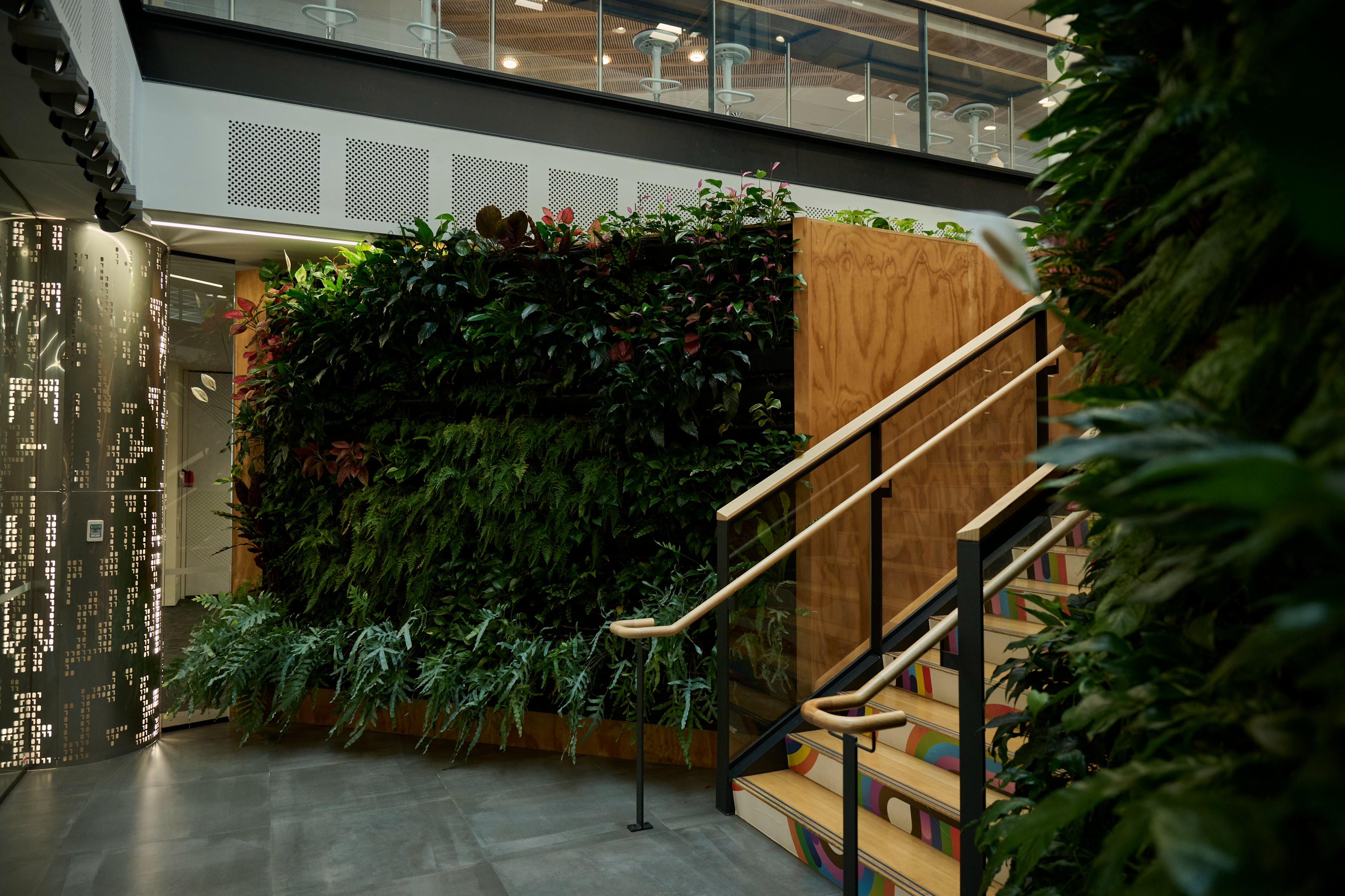 Datacom 
