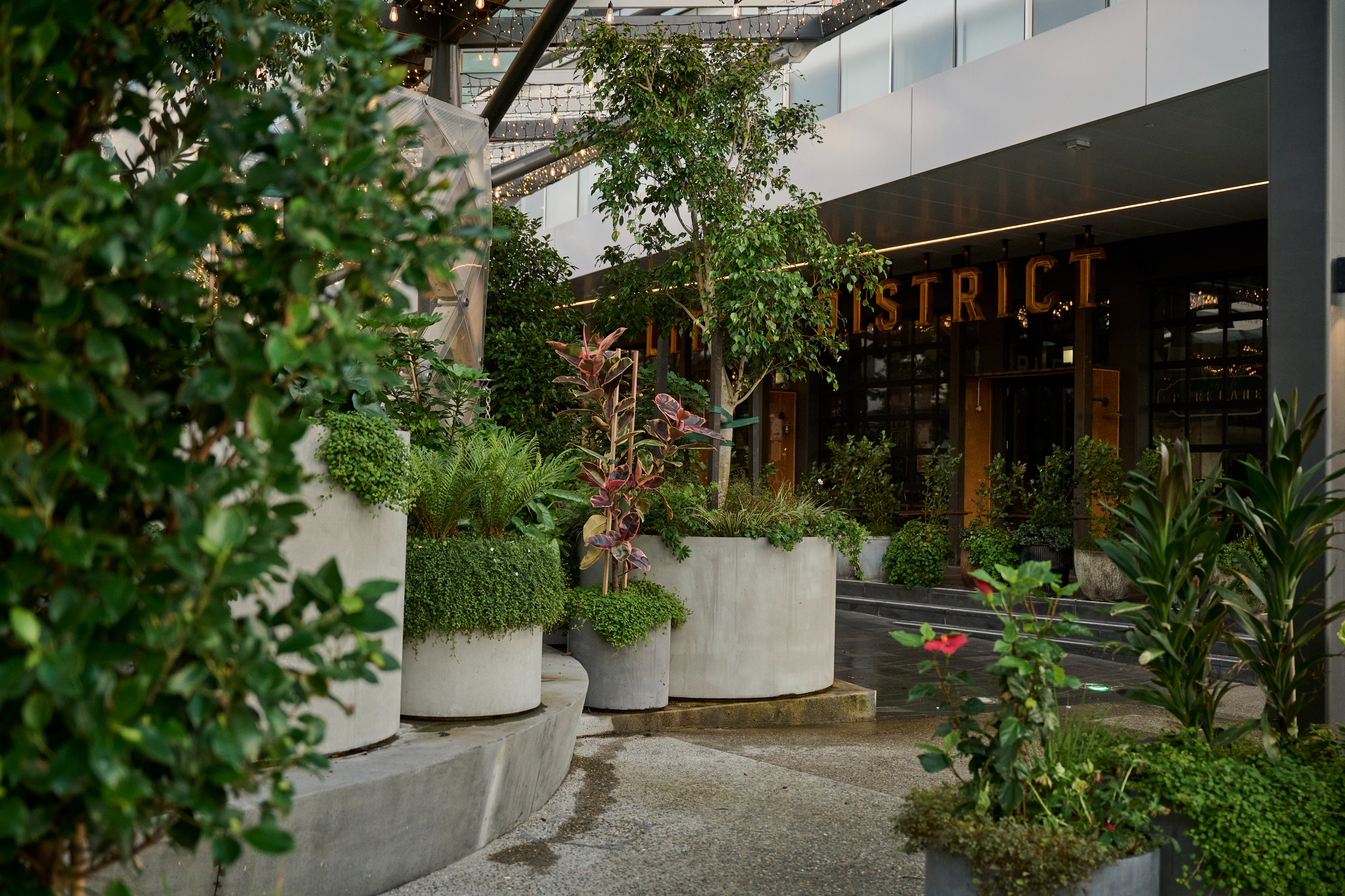Sylvia Park