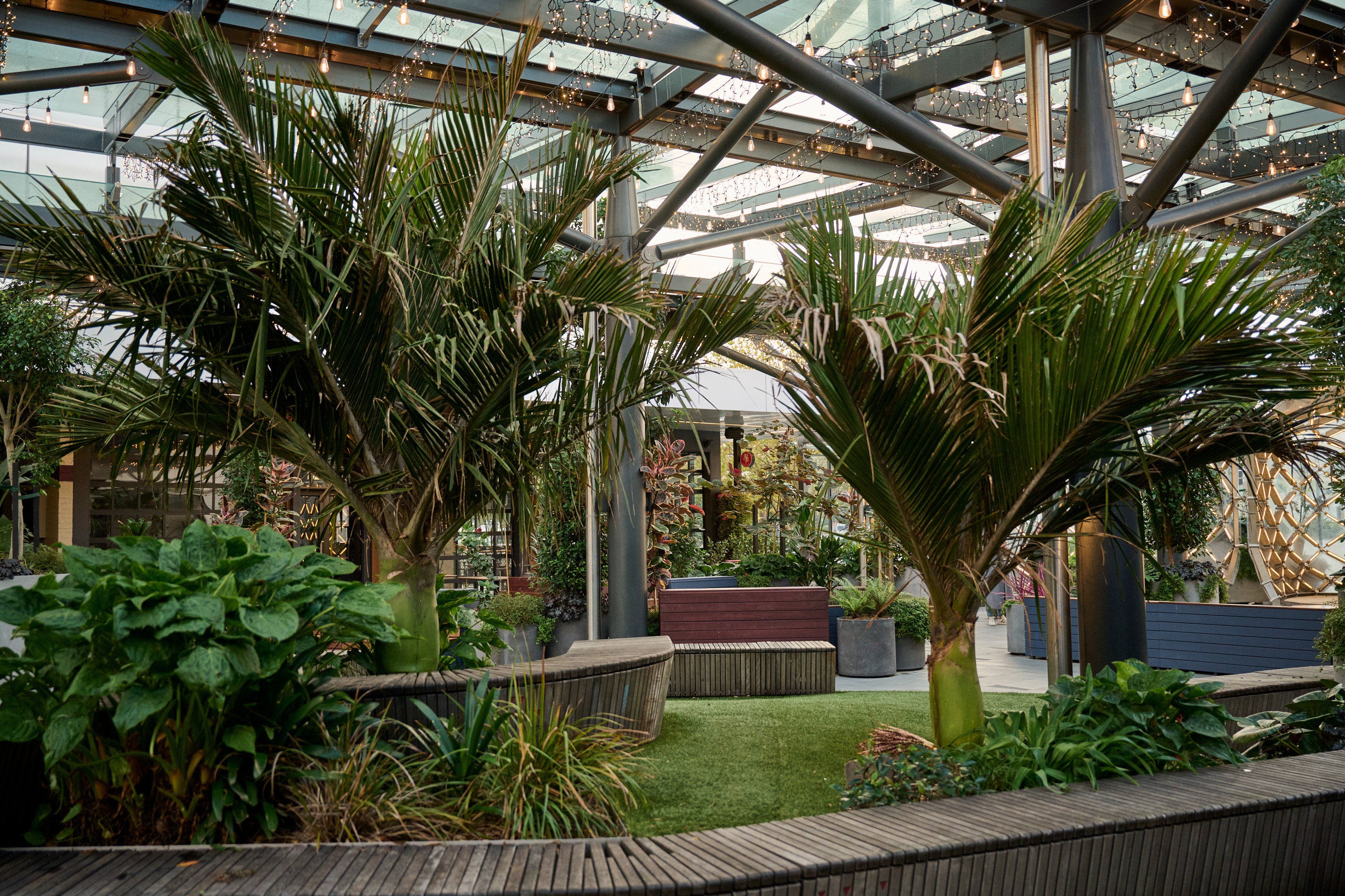 Supporting plant detail from Sylvia Park, Auckland — immersive retail greenery reinforcing this as a destination of choice.
