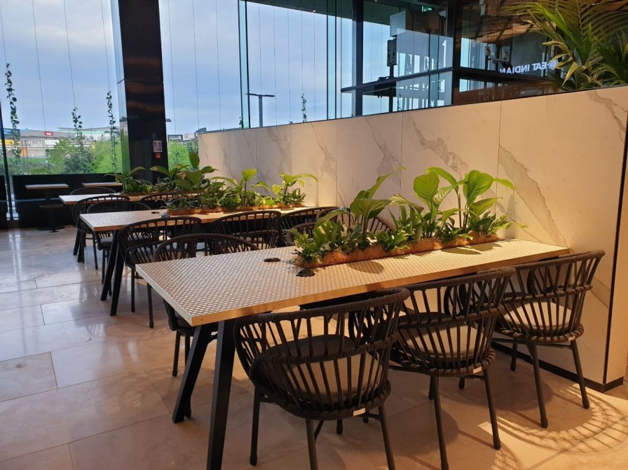 Long planted troughs of tropical foliage run along the communal dining tables at Sylvia Park.