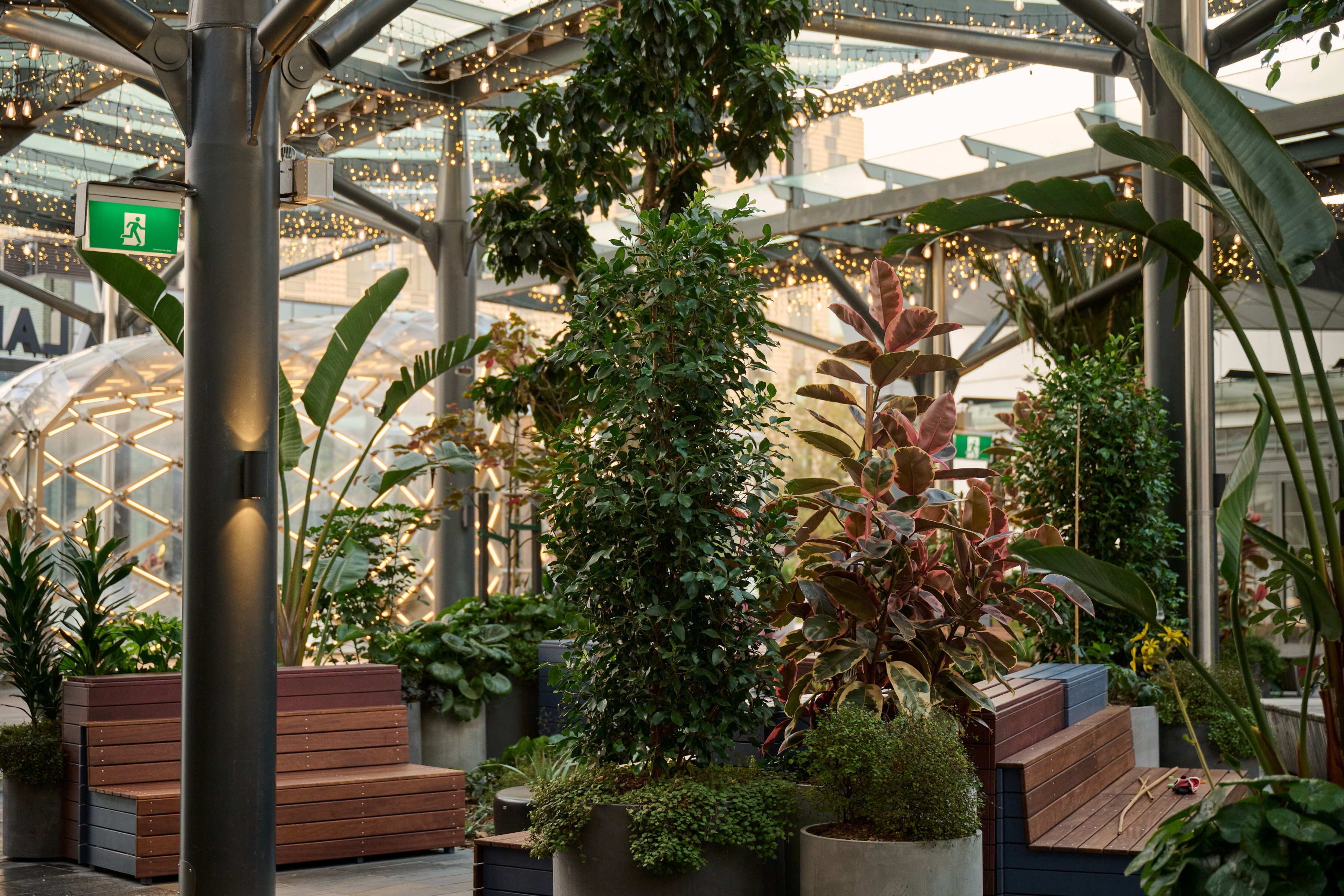 A covered terrace at Sylvia Park with mixed tropical planters, a lawn area, and blue timber-framed beds.