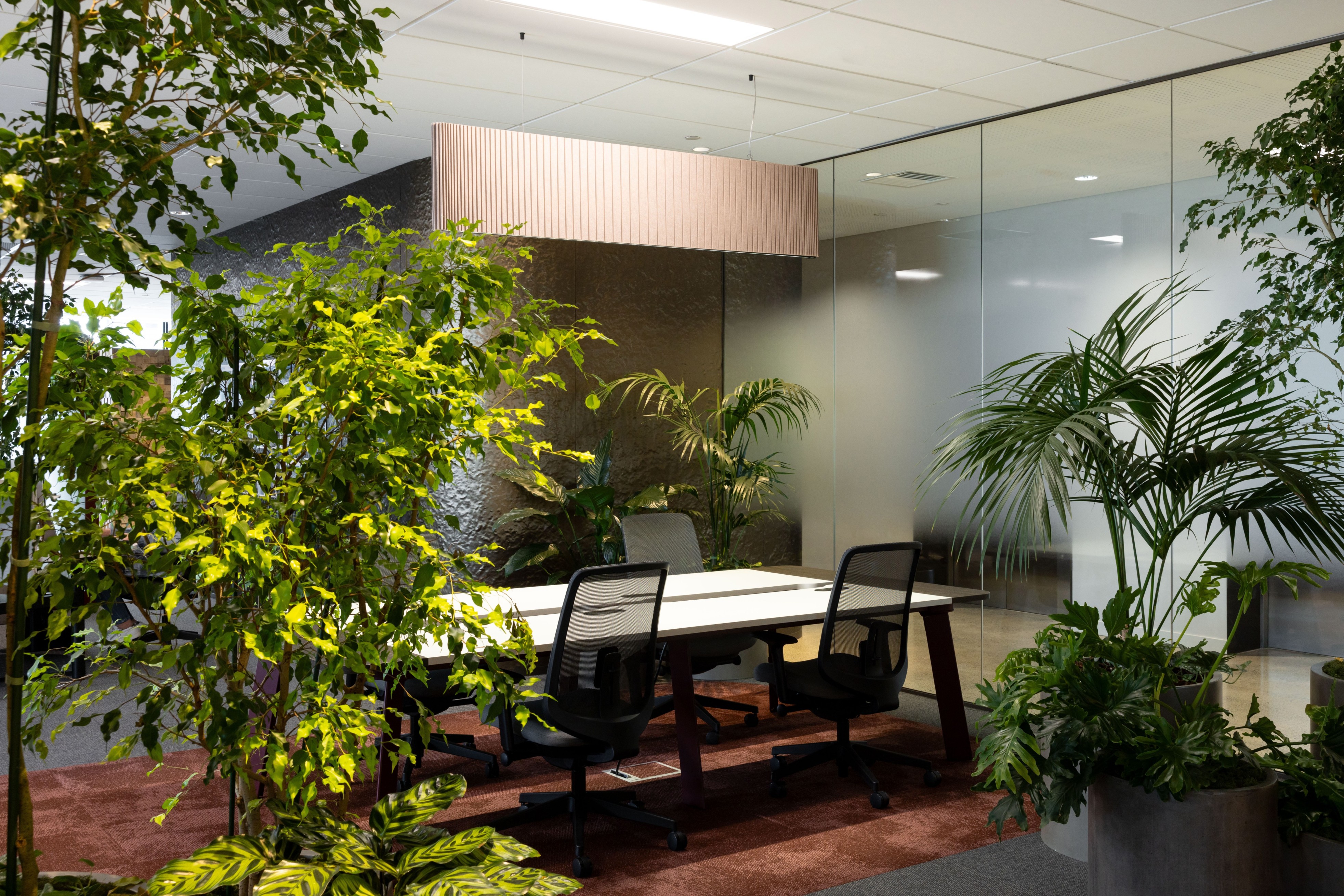 Kentia palm and fern in cylindrical planters in a green-walled breakout nook beside a bench seat.