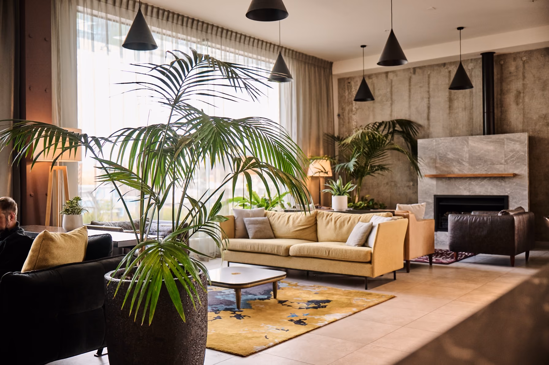 A tall kentia palm and trailing pothos in a charcoal planter beside mustard velvet sofas in the Sudima Auckland lounge.