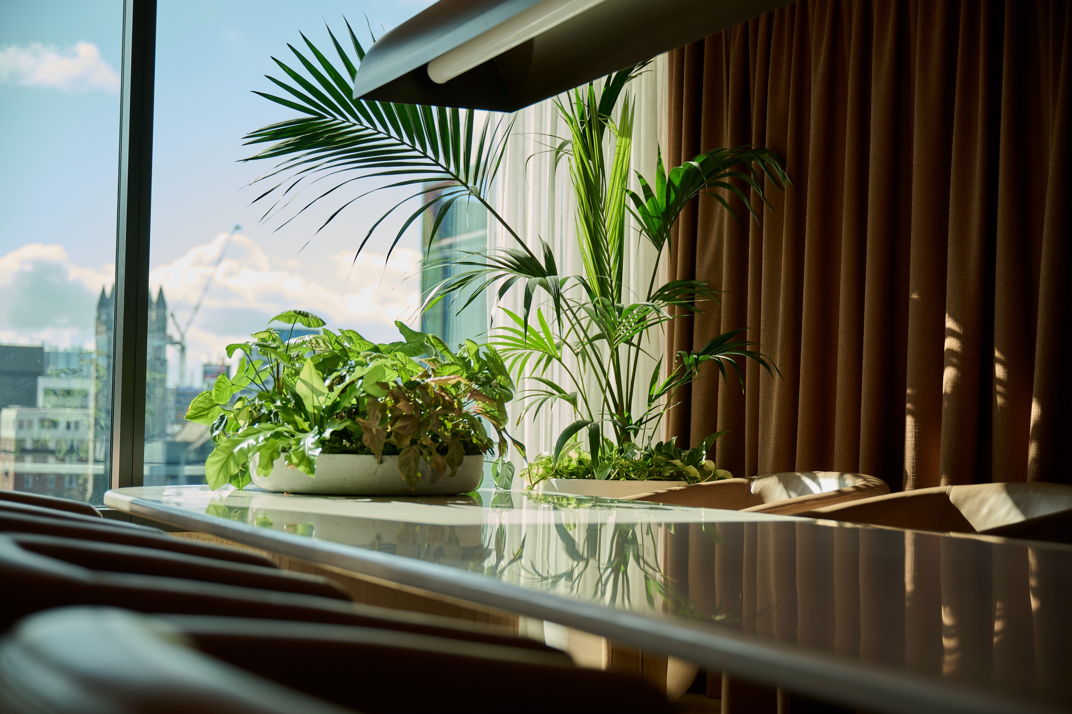 An areca palm and fern in a white planter on a meeting table at Sudima Auckland — greenery with a city view beyond.