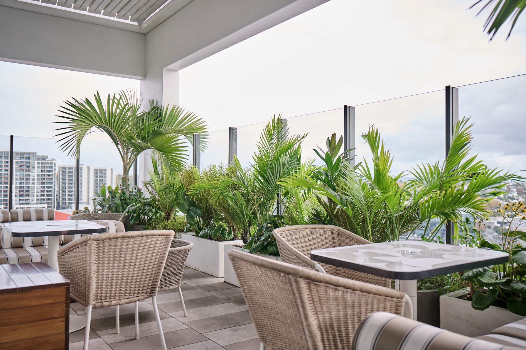 White trough planters filled with fan palms, areca, and tropical mixed planting screen the rooftop terrace at Sudima.