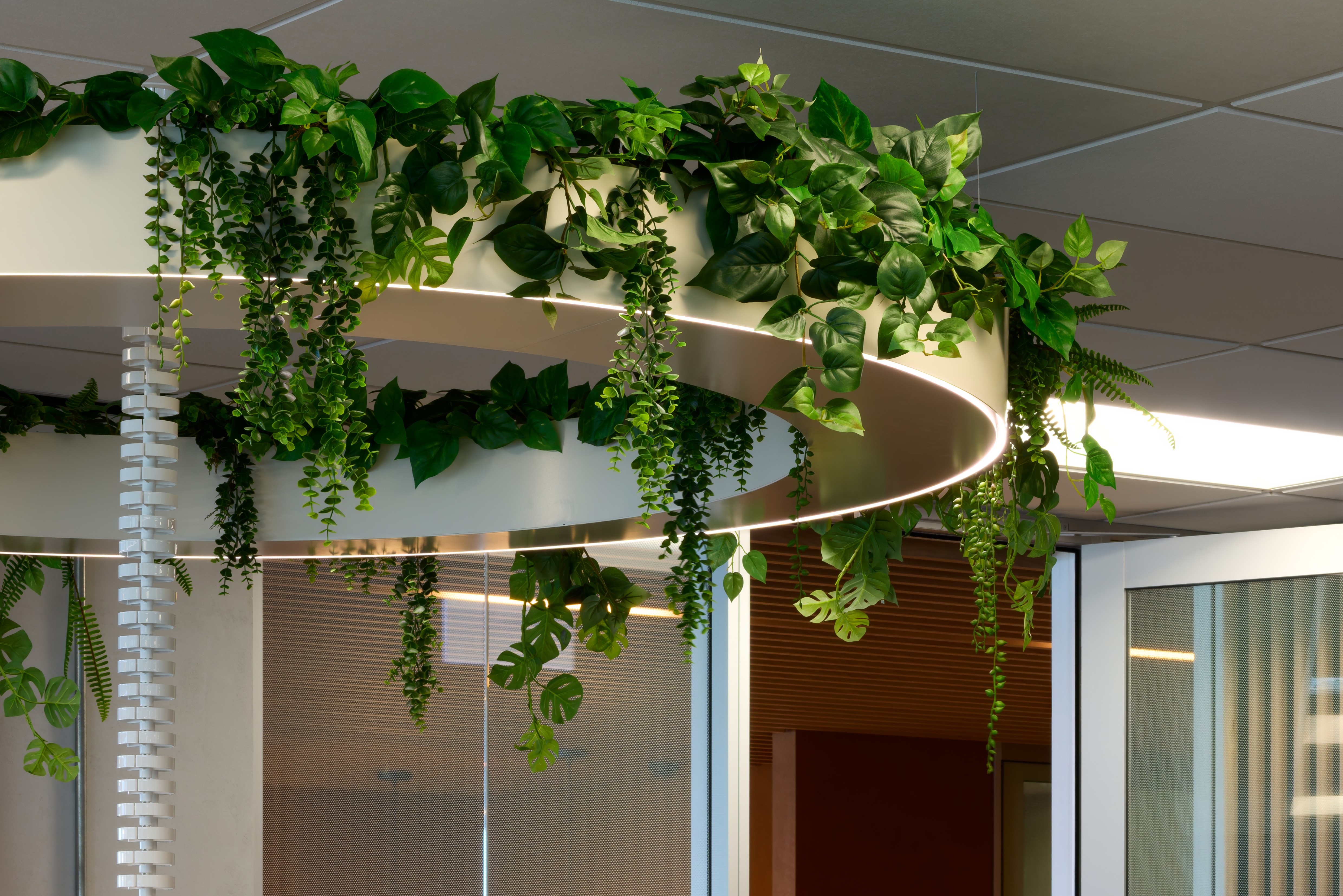 A circular ceiling ring planter trails pothos, ferns and monstera above the SecuritEase workspace.