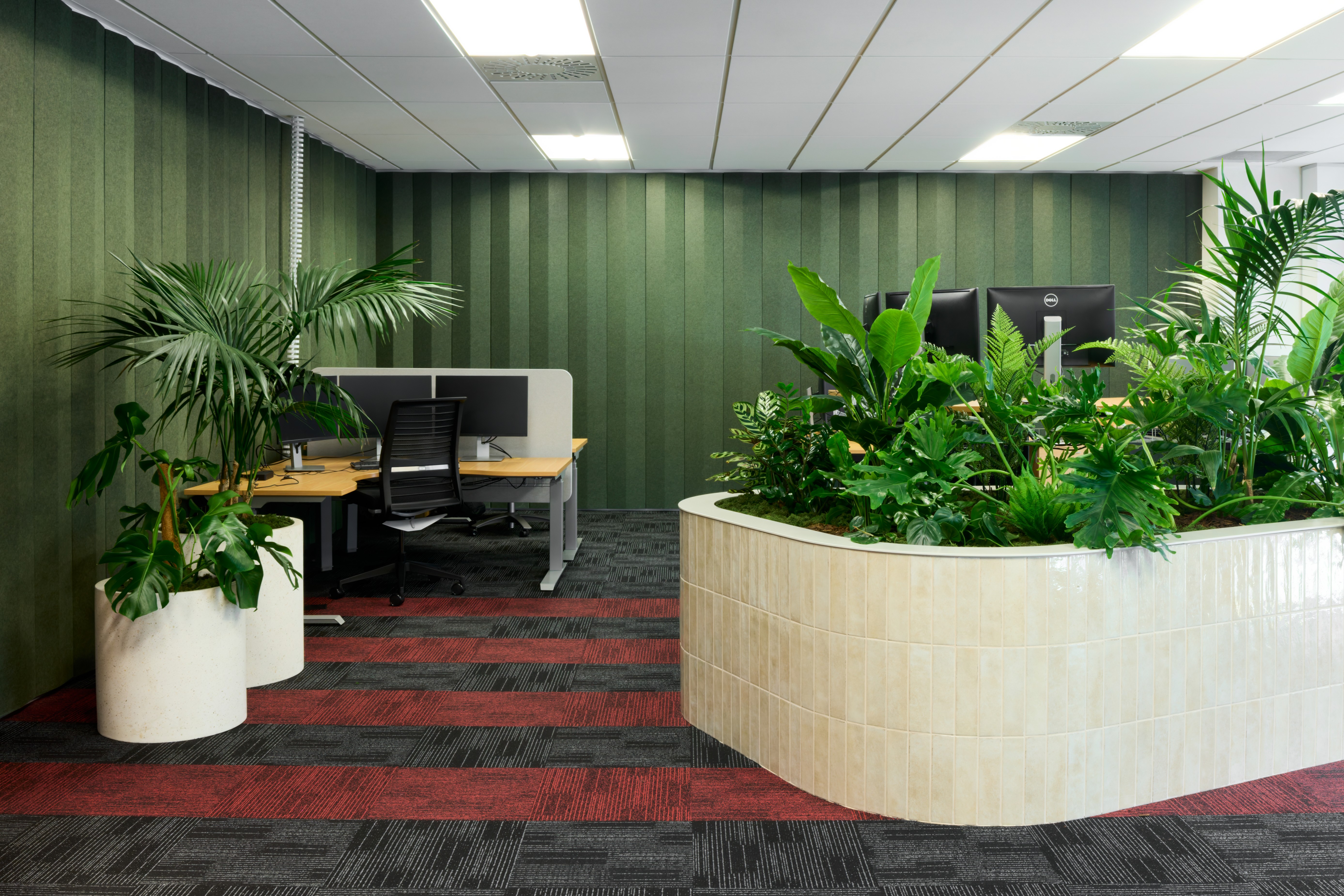 Open-plan desks beneath ring planters of trailing greenery, with Wellington Harbour views at SecuritEase.