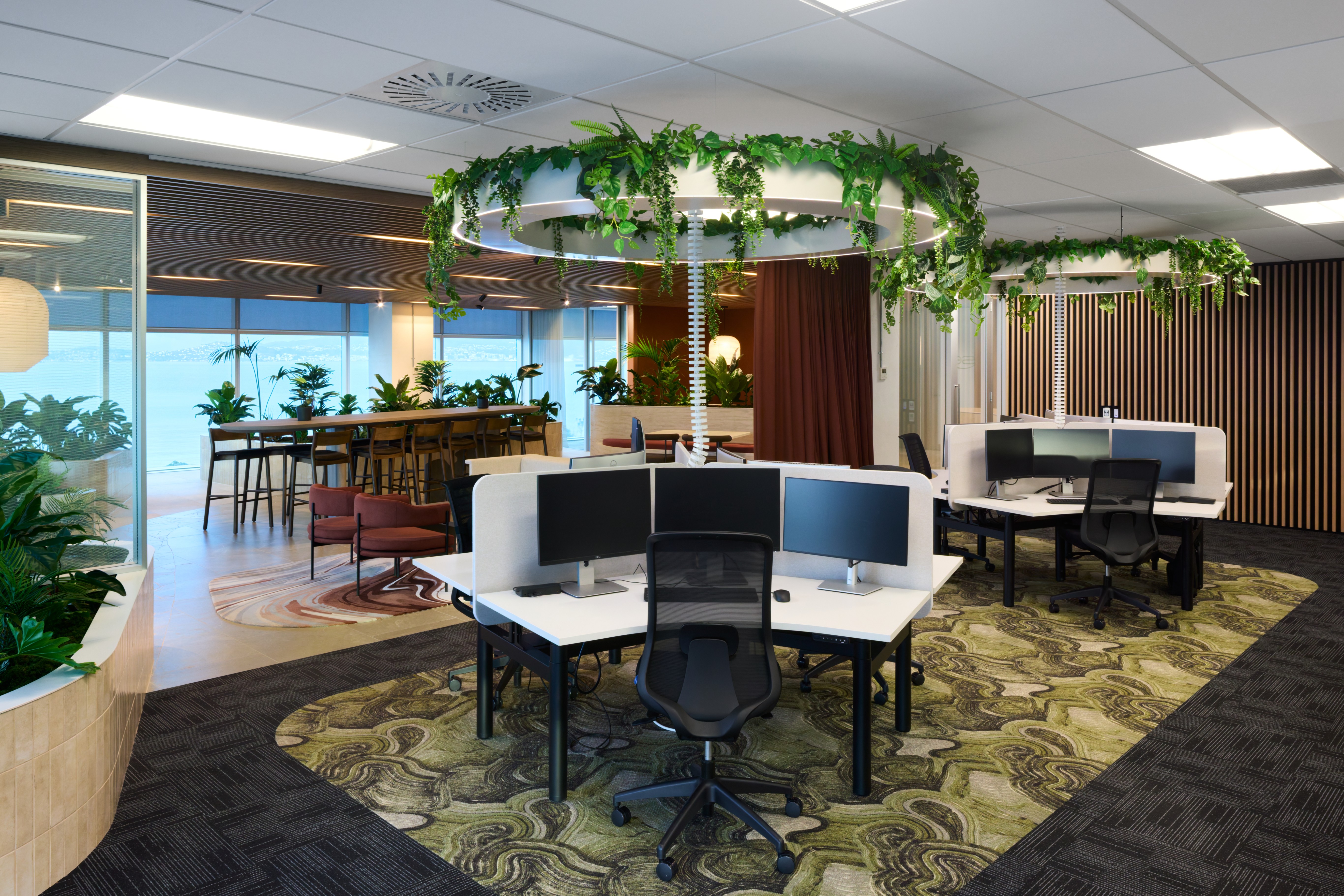 Open-plan desks beneath ring planters of trailing greenery, with Wellington Harbour views at SecuritEase.