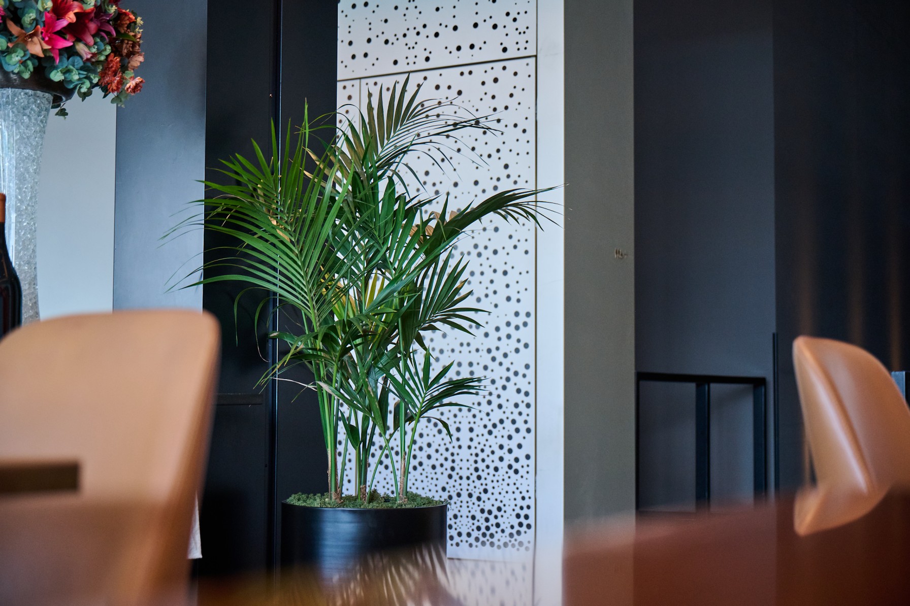 The timber reception desk at Park Hyatt Auckland is anchored by a small plant and globe pendant on marble flooring.