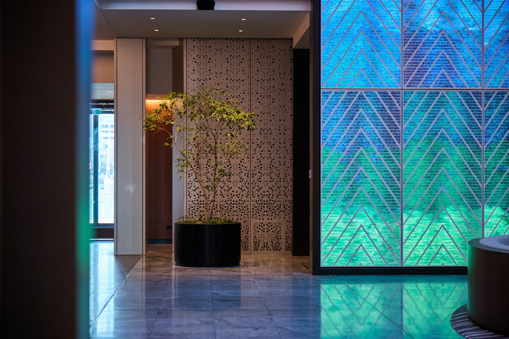 A kentia palm in a black cylindrical pot stands before a perforated decorative screen at Park Hyatt Auckland's restaurant.