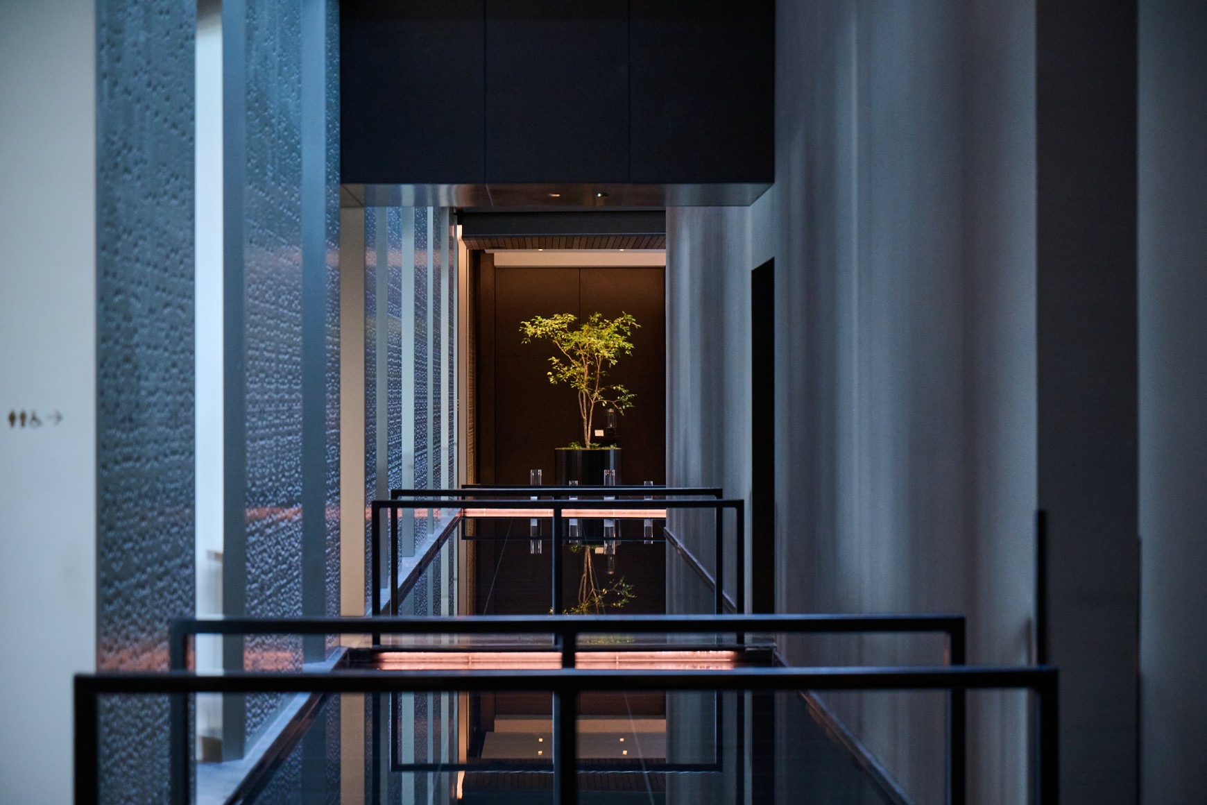 A single tree is dramatically lit at the end of a dark corridor at Park Hyatt Auckland, reflecting in the polished floor.