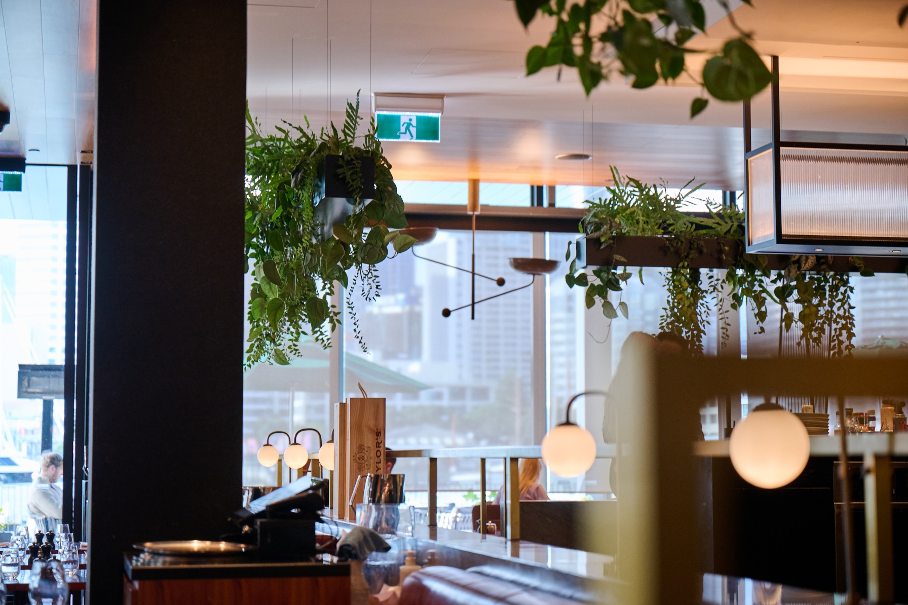 Hanging planters of pothos and trailing foliage soften the ceiling above Park Hyatt Auckland's bar, with city views beyond.