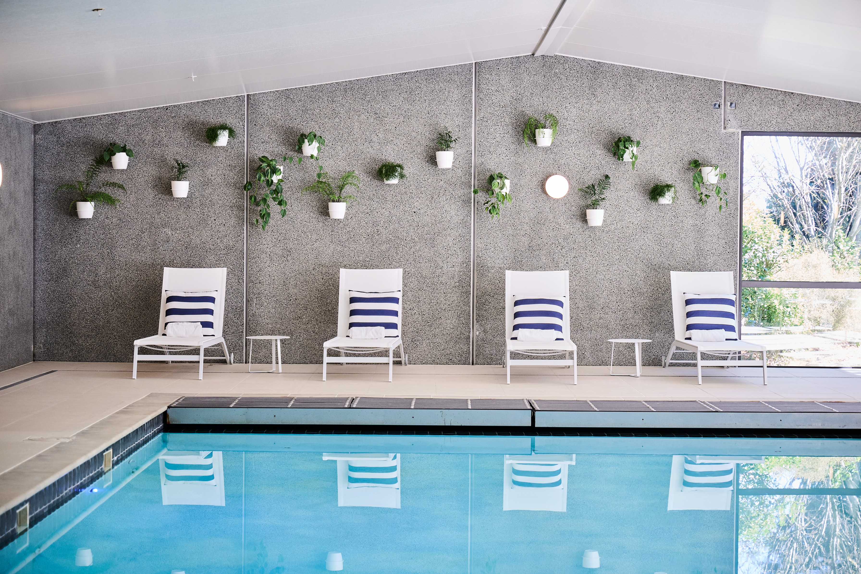 White wall-mounted pots with ferns and pothos arranged above poolside loungers at Sudima Airport Hotel.
