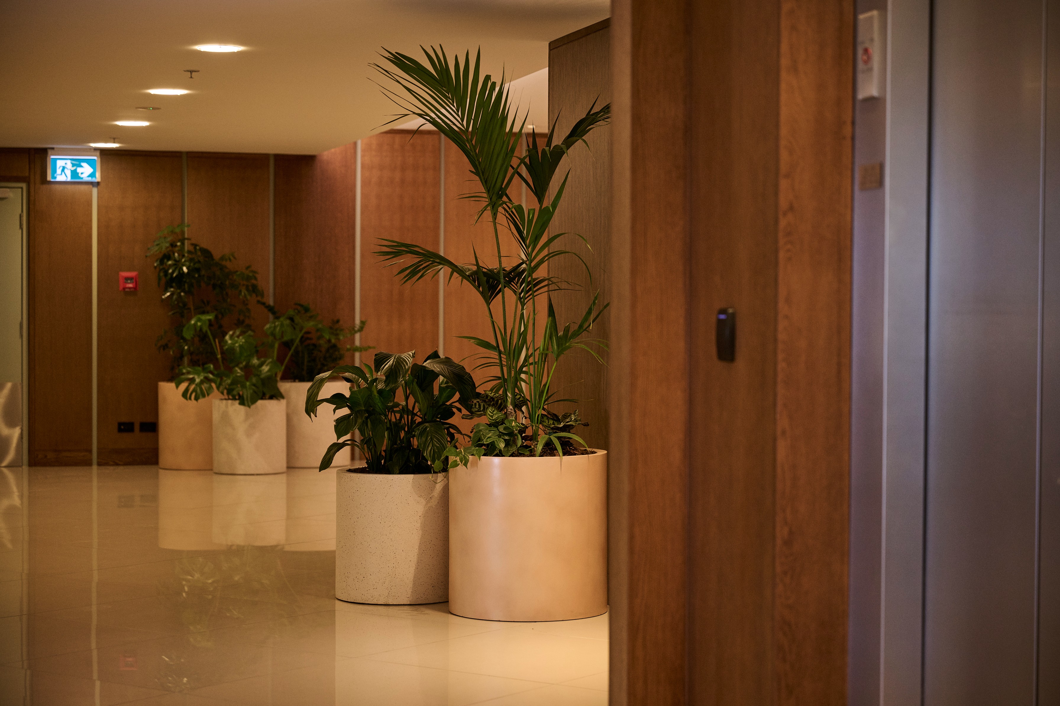 Kentia palm and layered foliage in cylindrical planters lining a timber-panelled hotel corridor beside a lift.